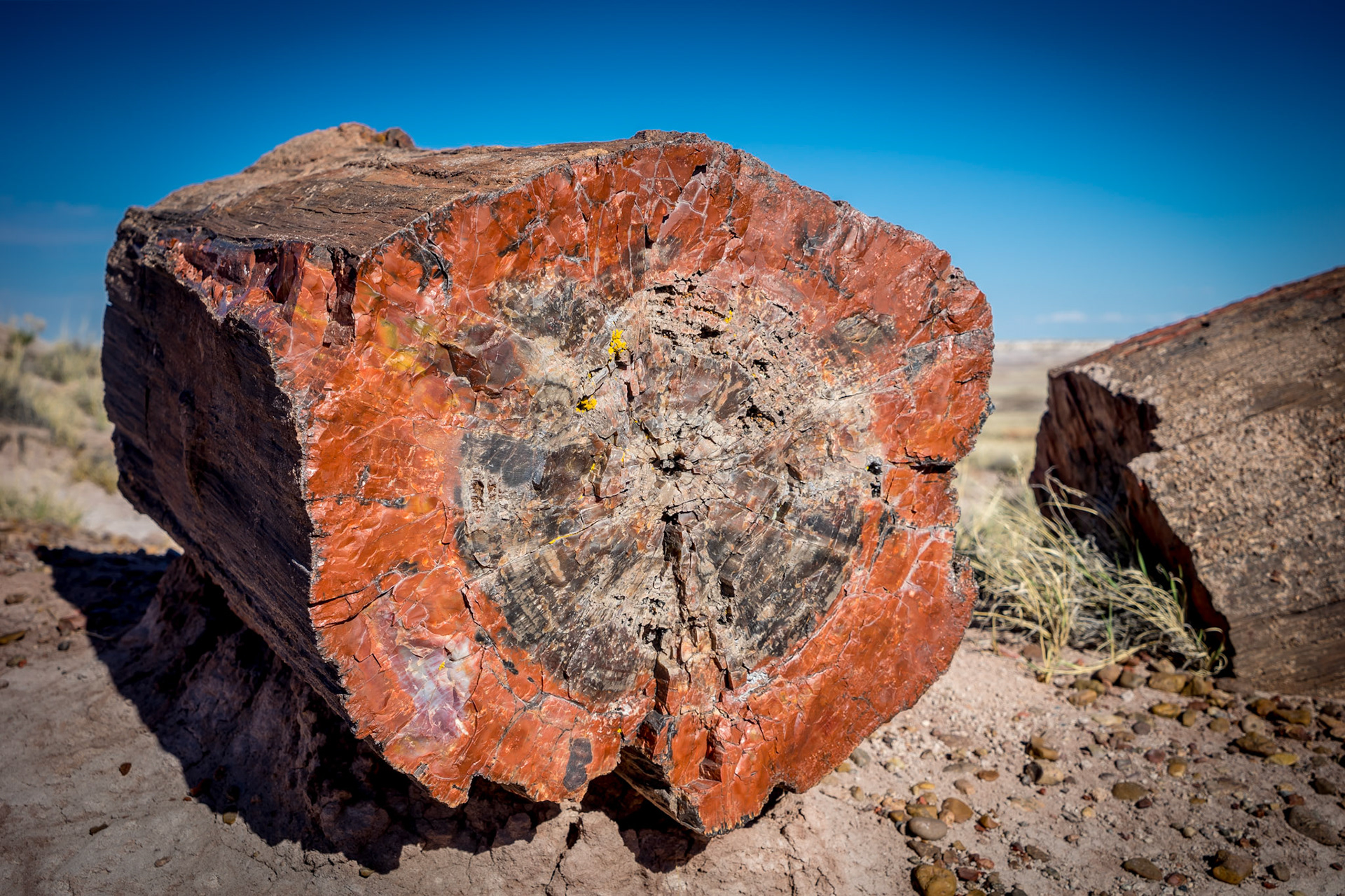 PETRIFIED FOREST NATIONAL PARK