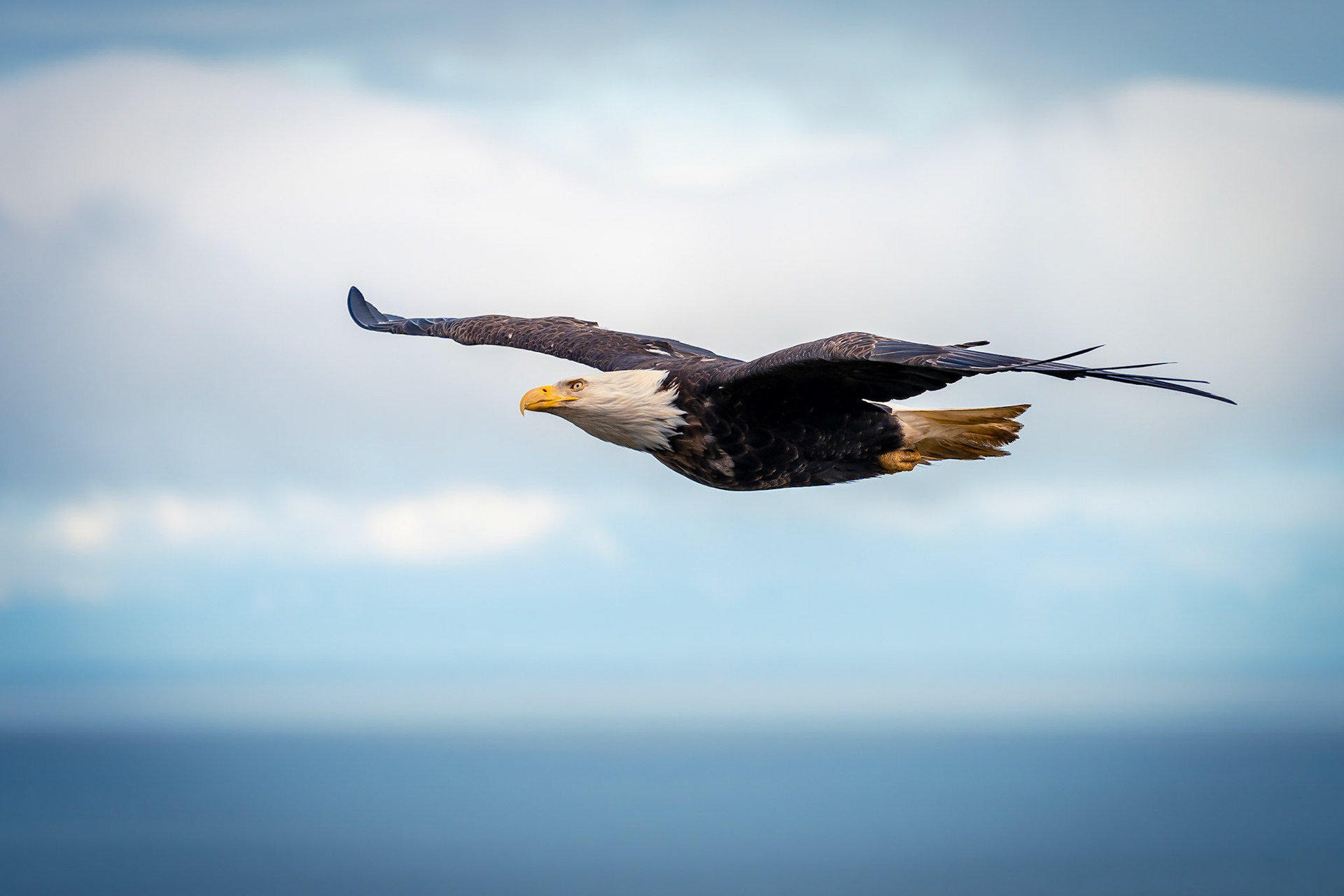 Aleutian Chain, Alaska