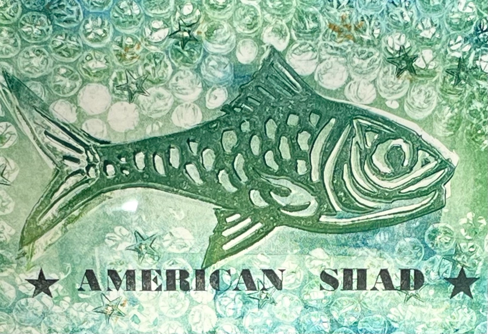 "American Shad" Letterpress & Gelli Plate Printing