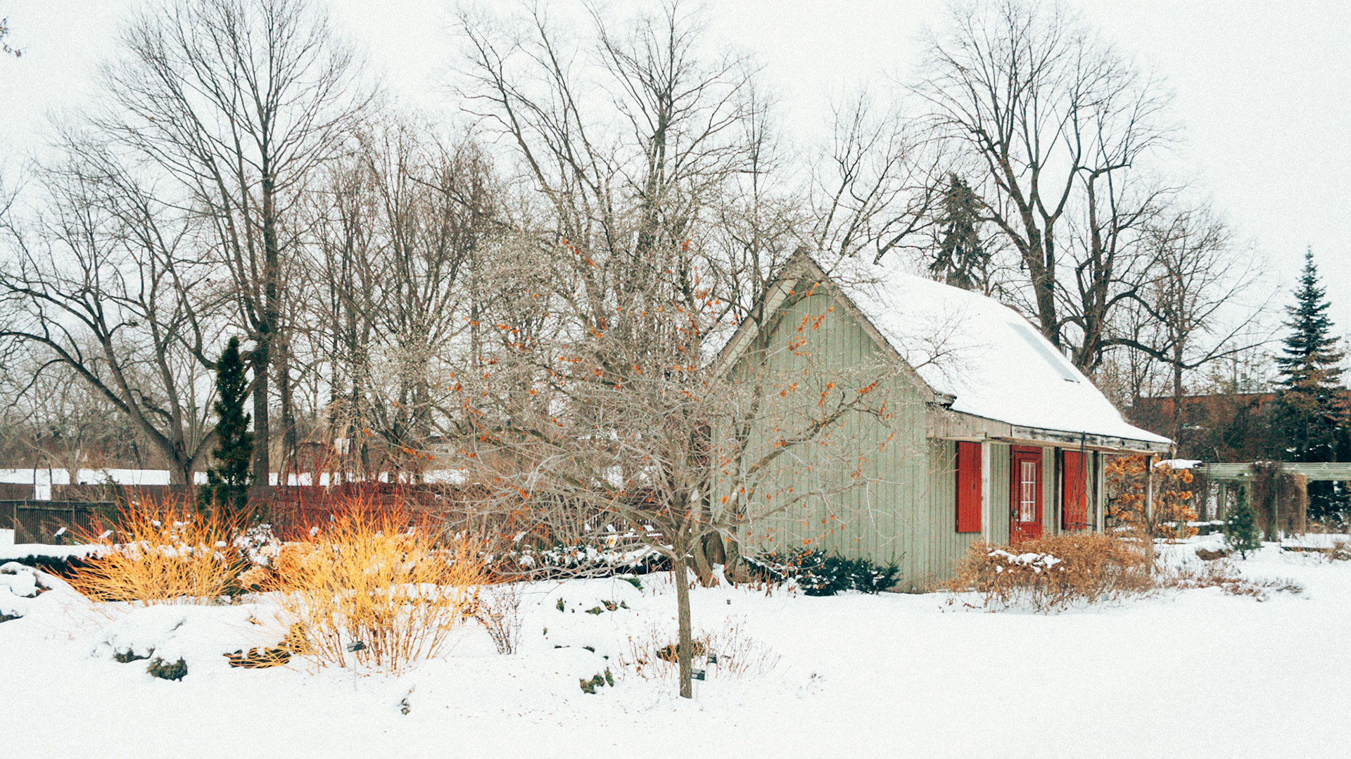 Cabane en hiver / Winter Shed