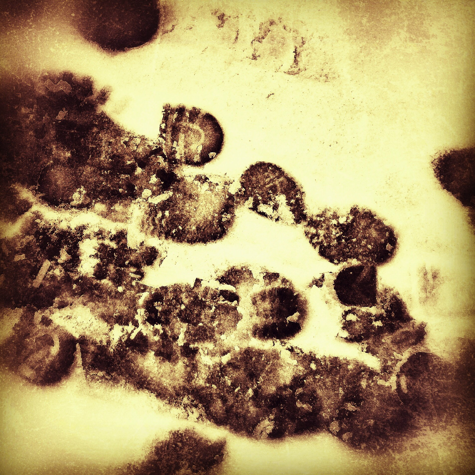 Là où je marche, d'autres ont marché.