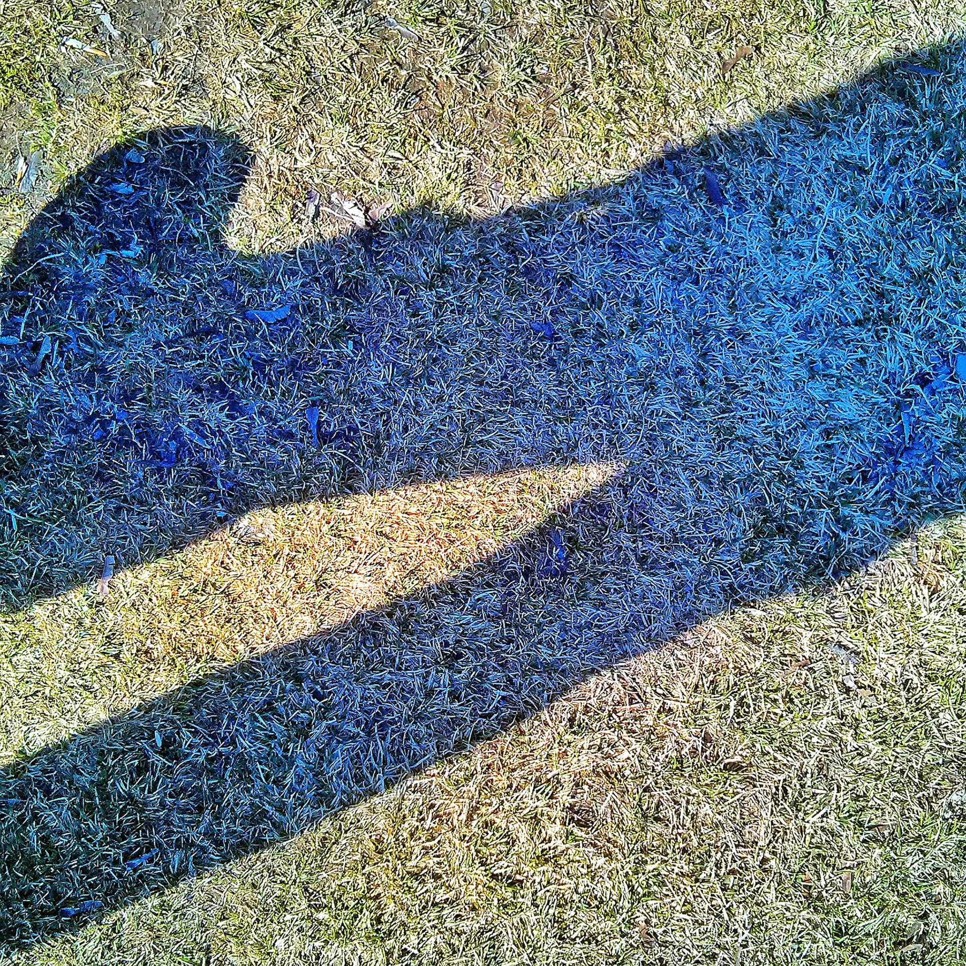 Là où je marche, le soleil fabrique des ombres.