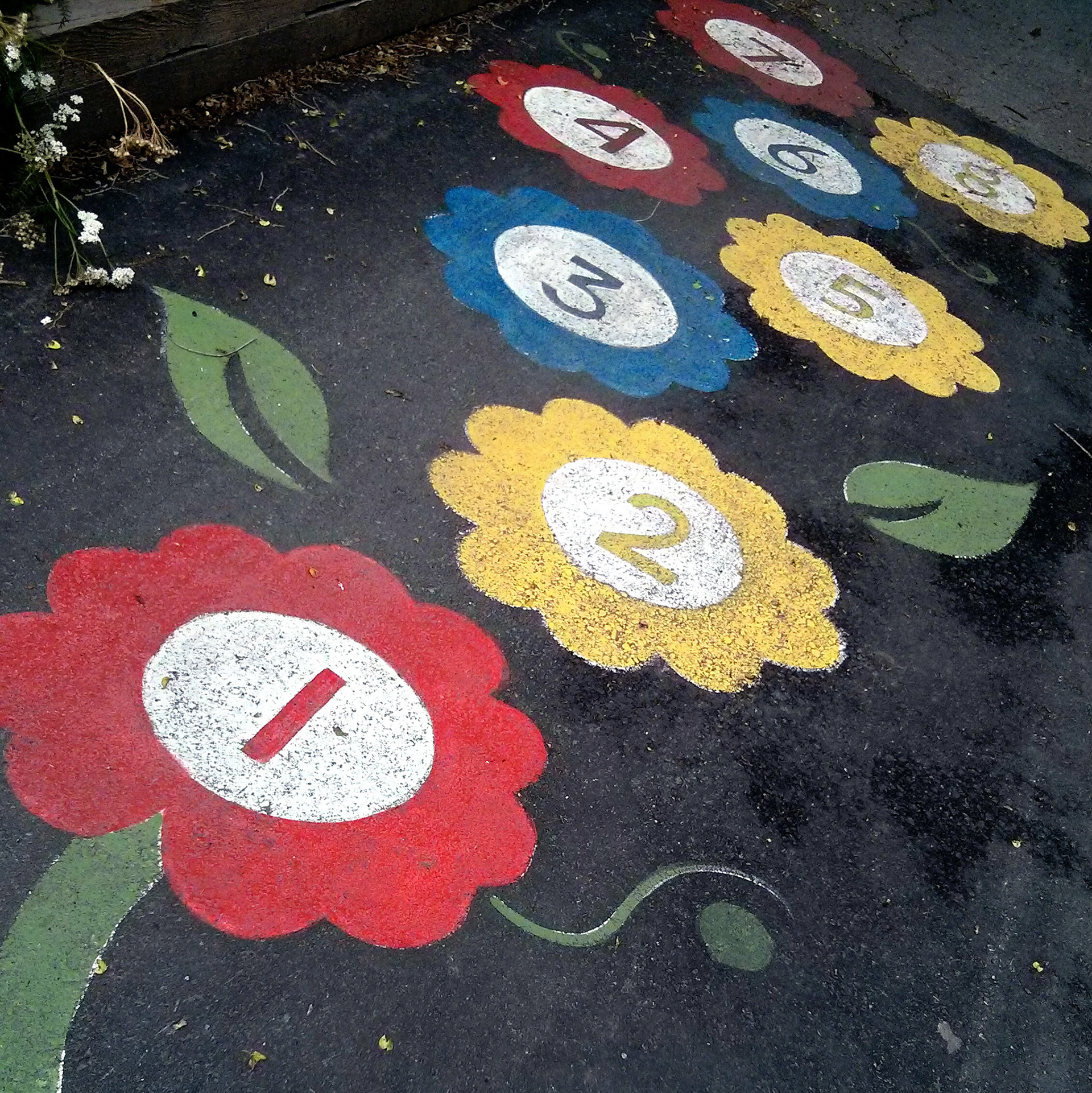 Là où je marche, il y a des fleurs de macadam.