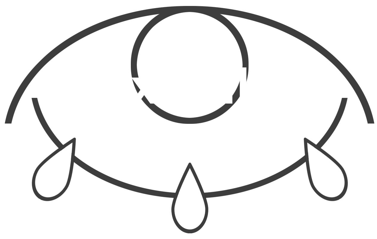 Maximilian Pichler