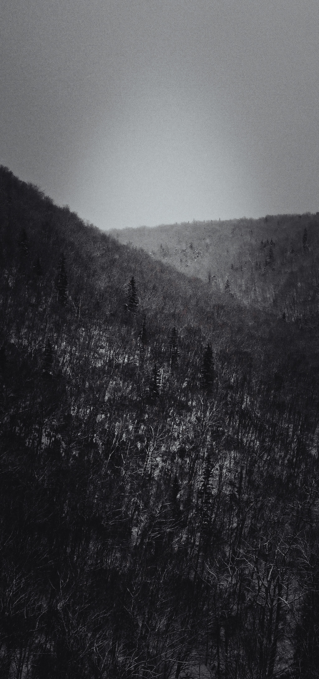 Lost Hills