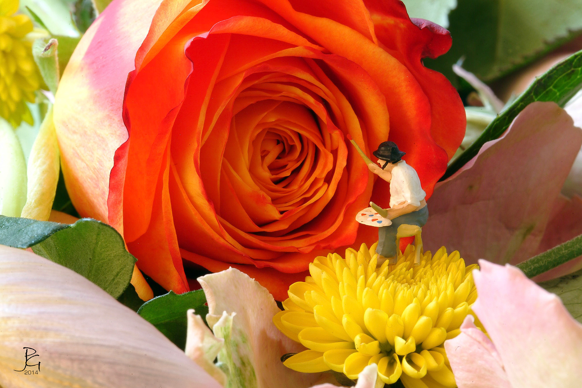 Blumen Veredler
