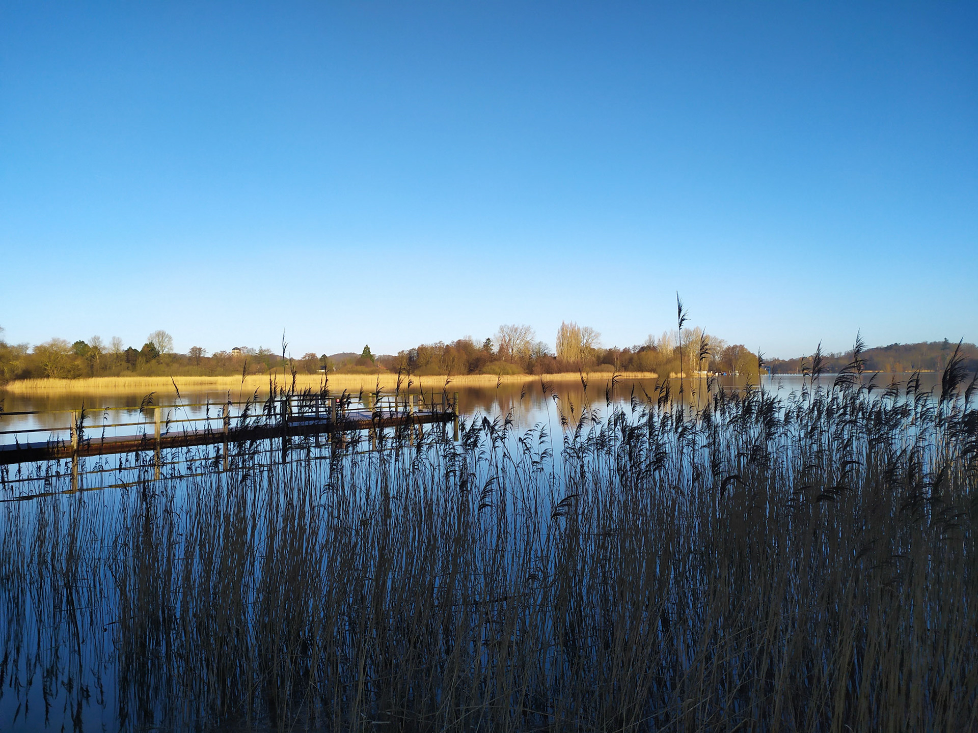 Kellersee Sommer 2021