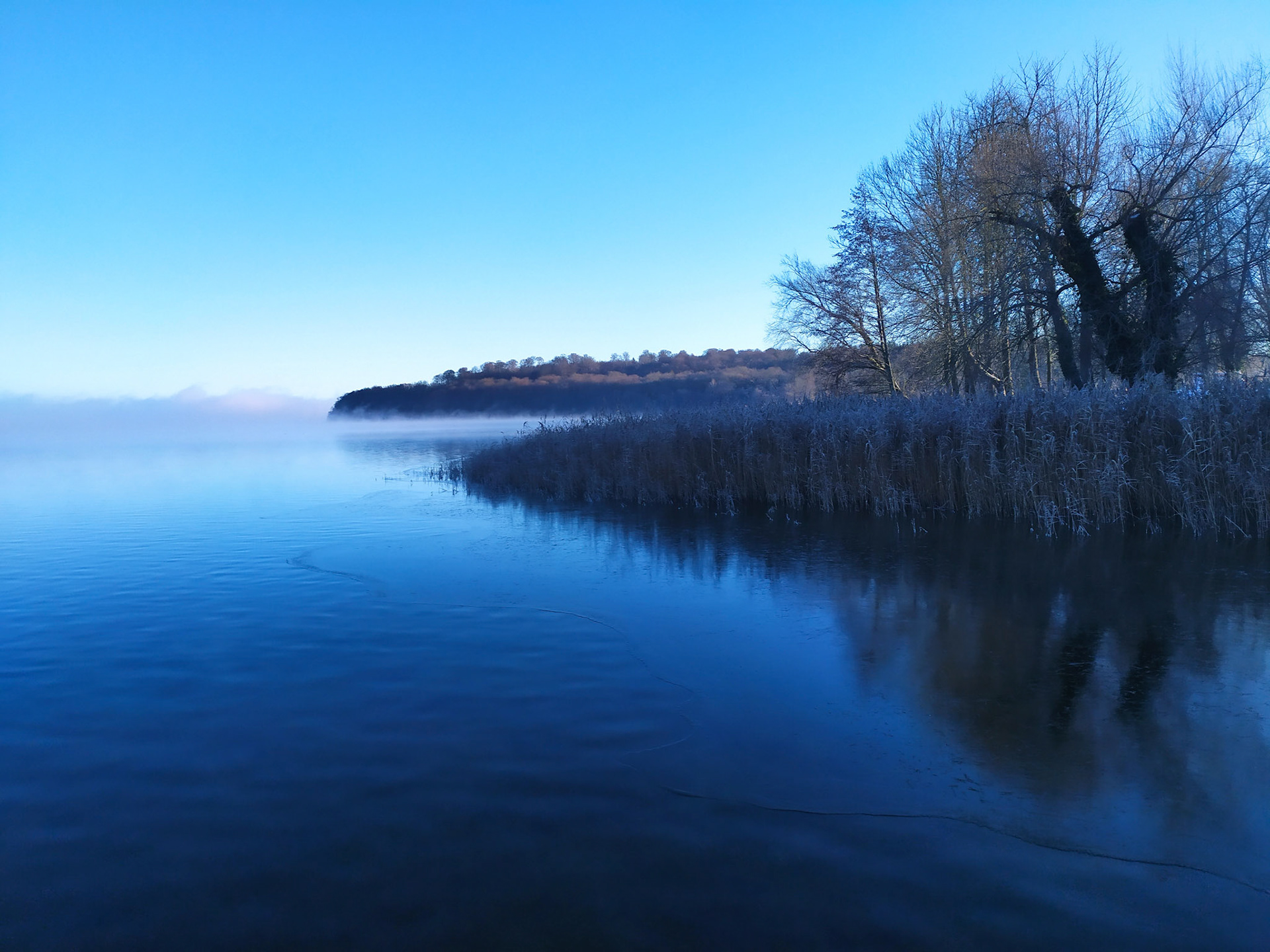 Kellersee Frühjahr 2021