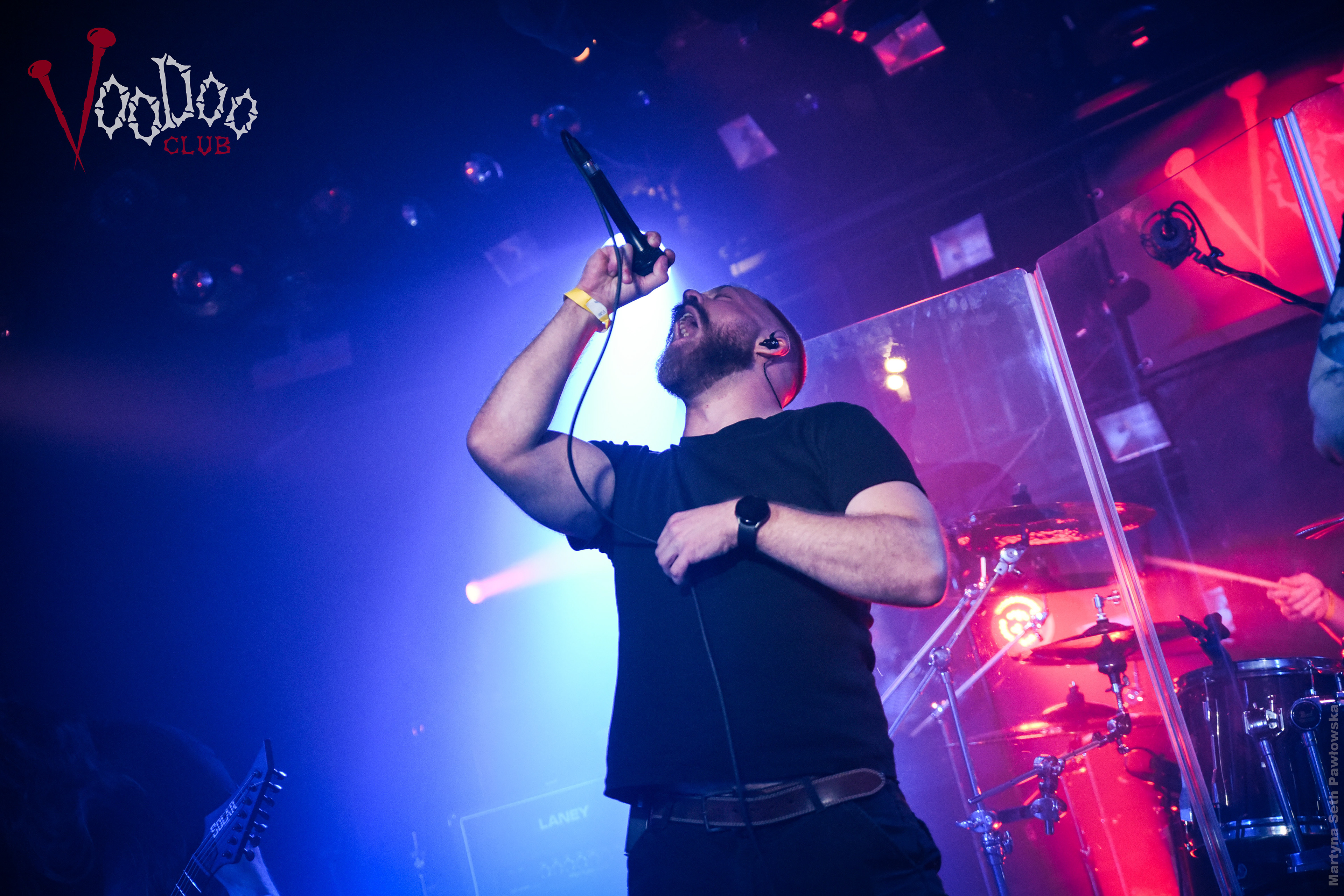 Metalowe Zwierzaki #23