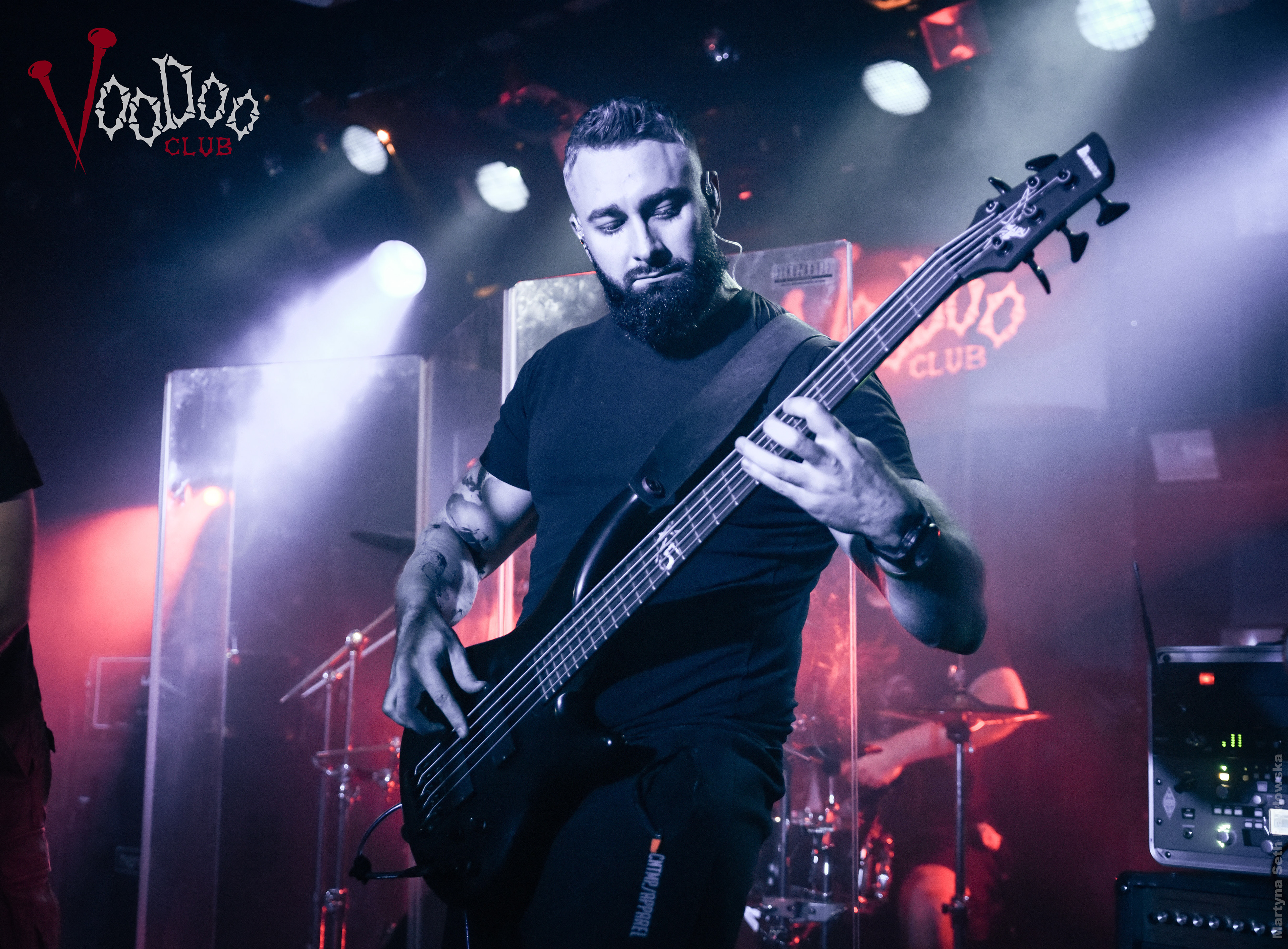 Metalowe Zwierzaki #23