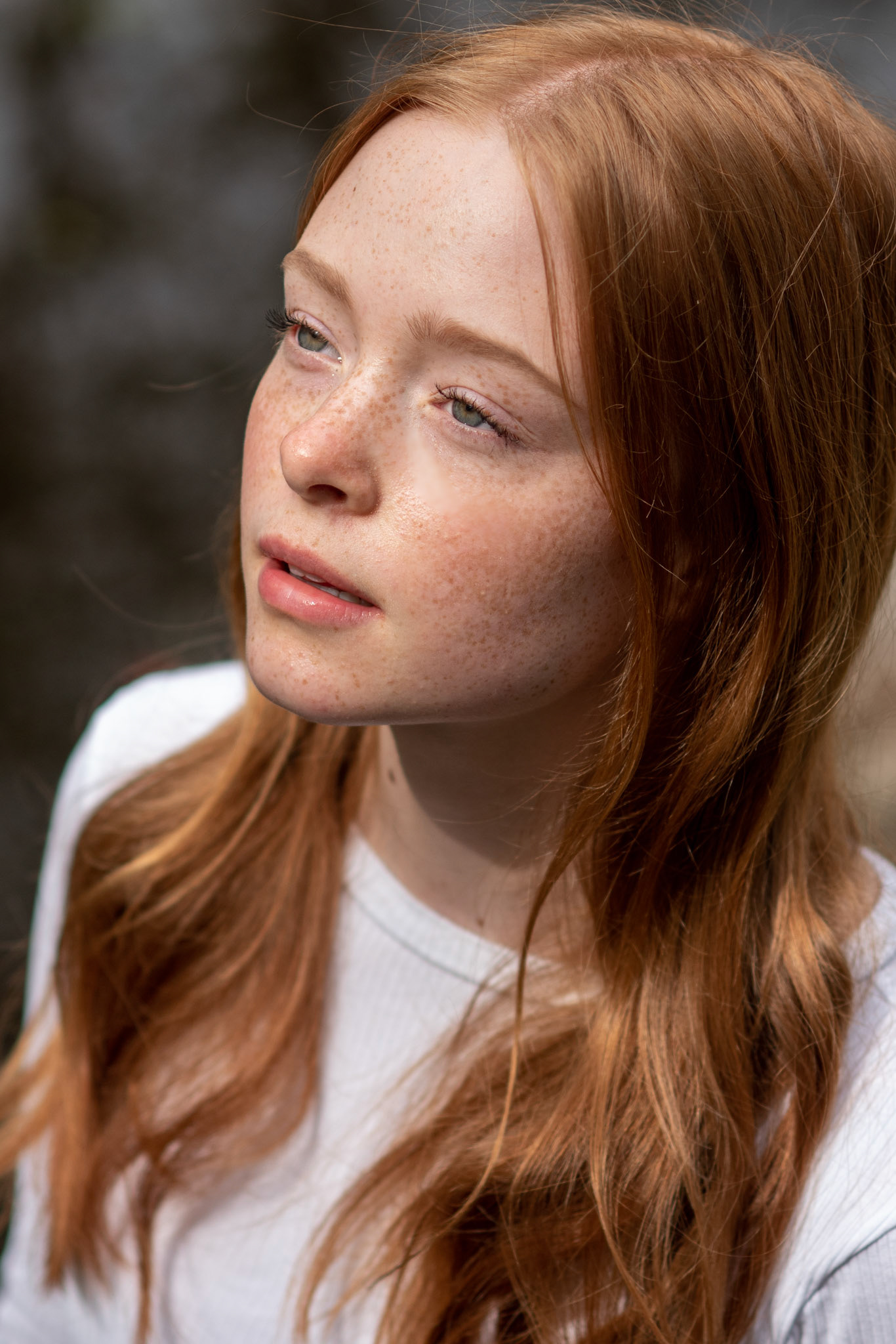 Gemma