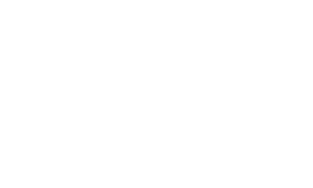Animated GIF zur Veranschaulichung der spielerischen Rasteranwendung und Geometrie des Bärfuss Fonts
