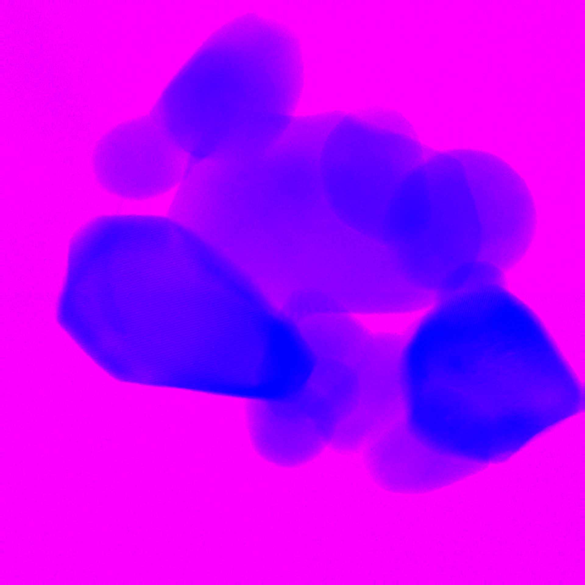 A VEIL OF HYDROXYAPATITE - BLUE VERSION