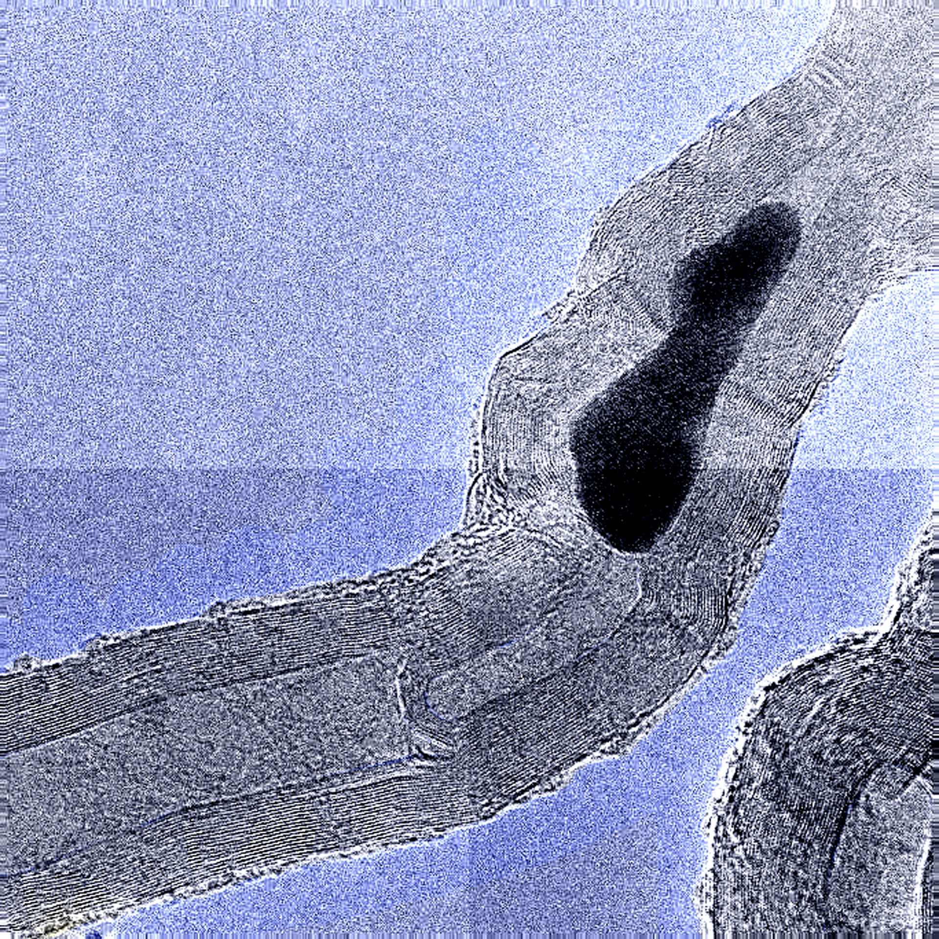 A CARBON NANOTUBE WITH A CATALYTIC HEART