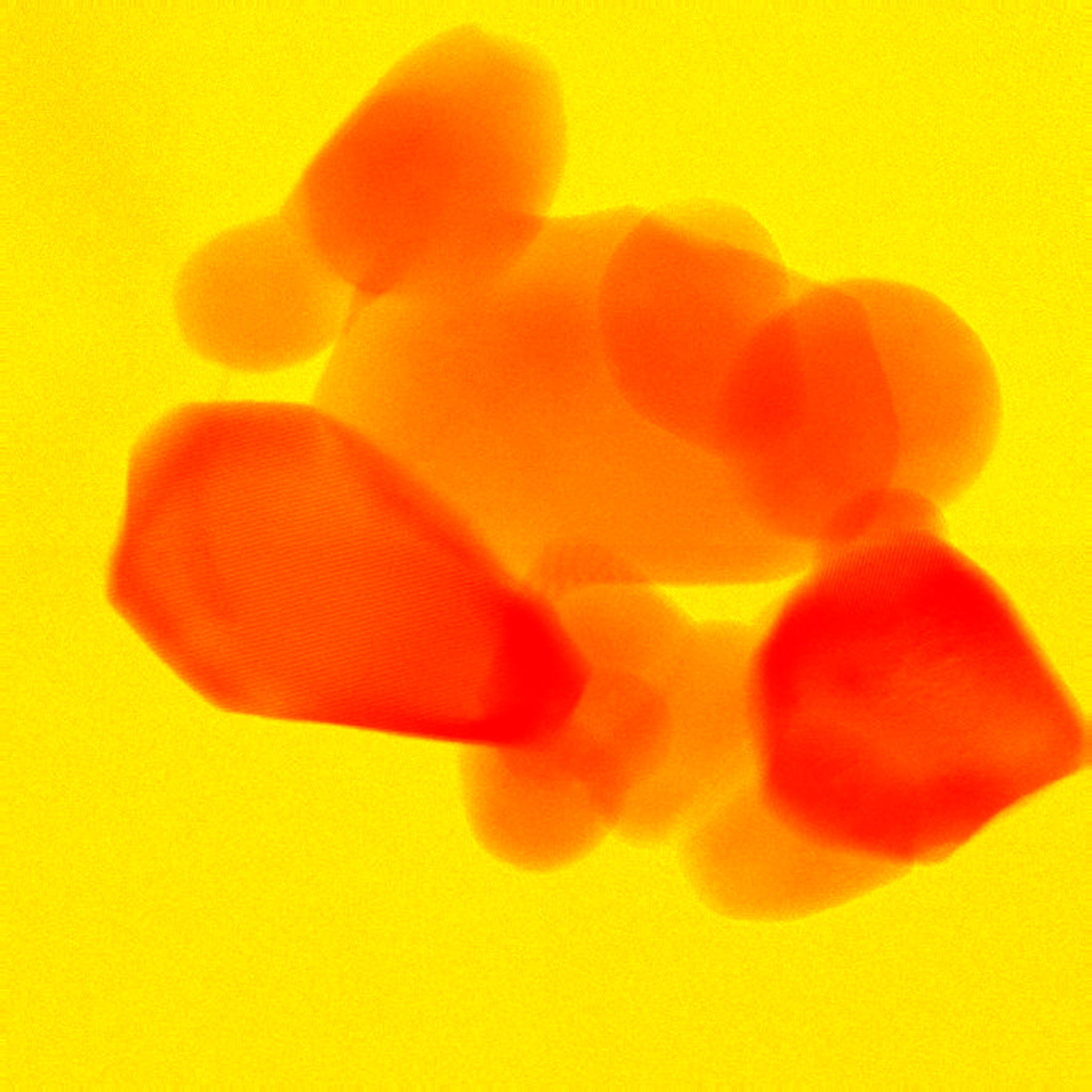 A VEIL OF HYDROXYAPATITE - YELLOW VERSION