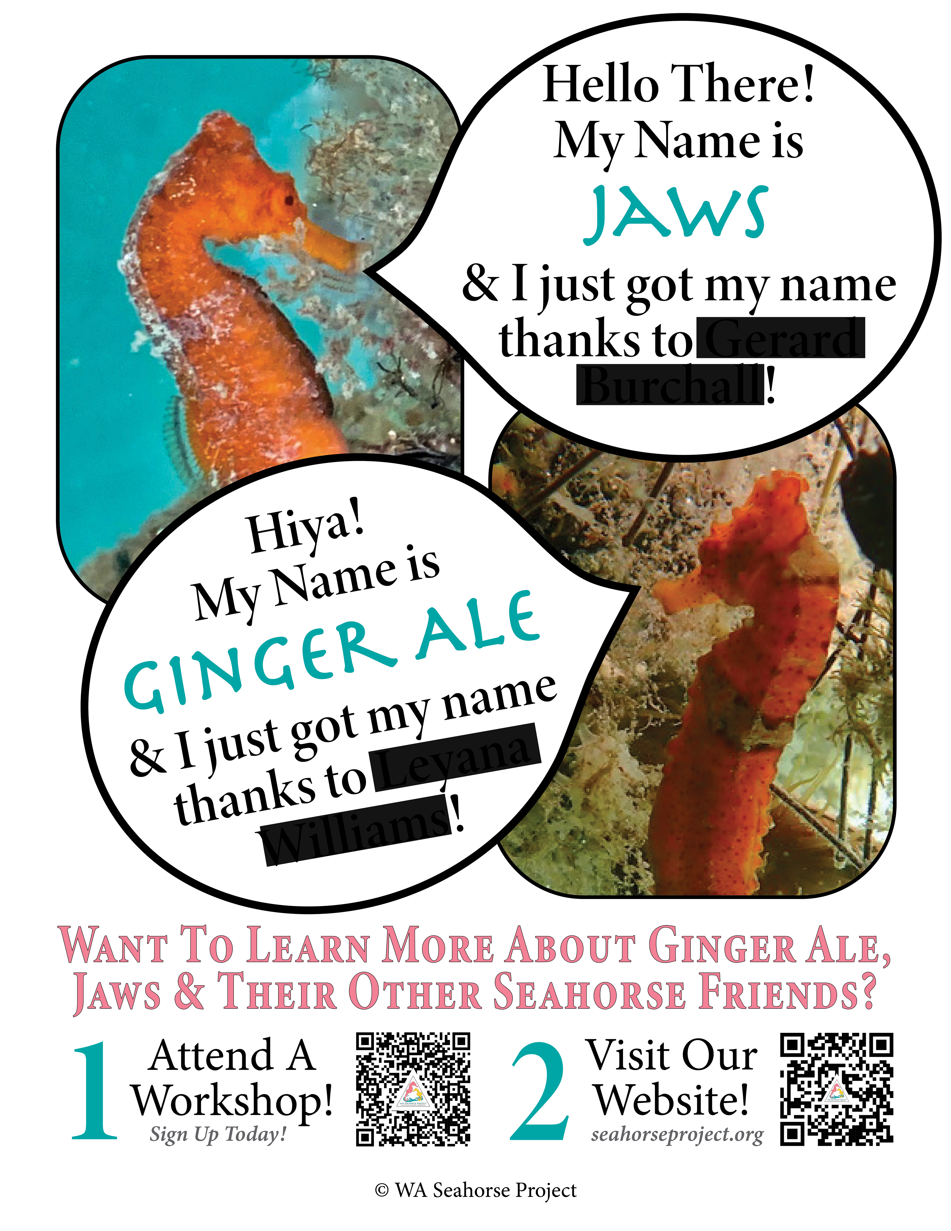 WASP Meet Our Seahorses Flyer