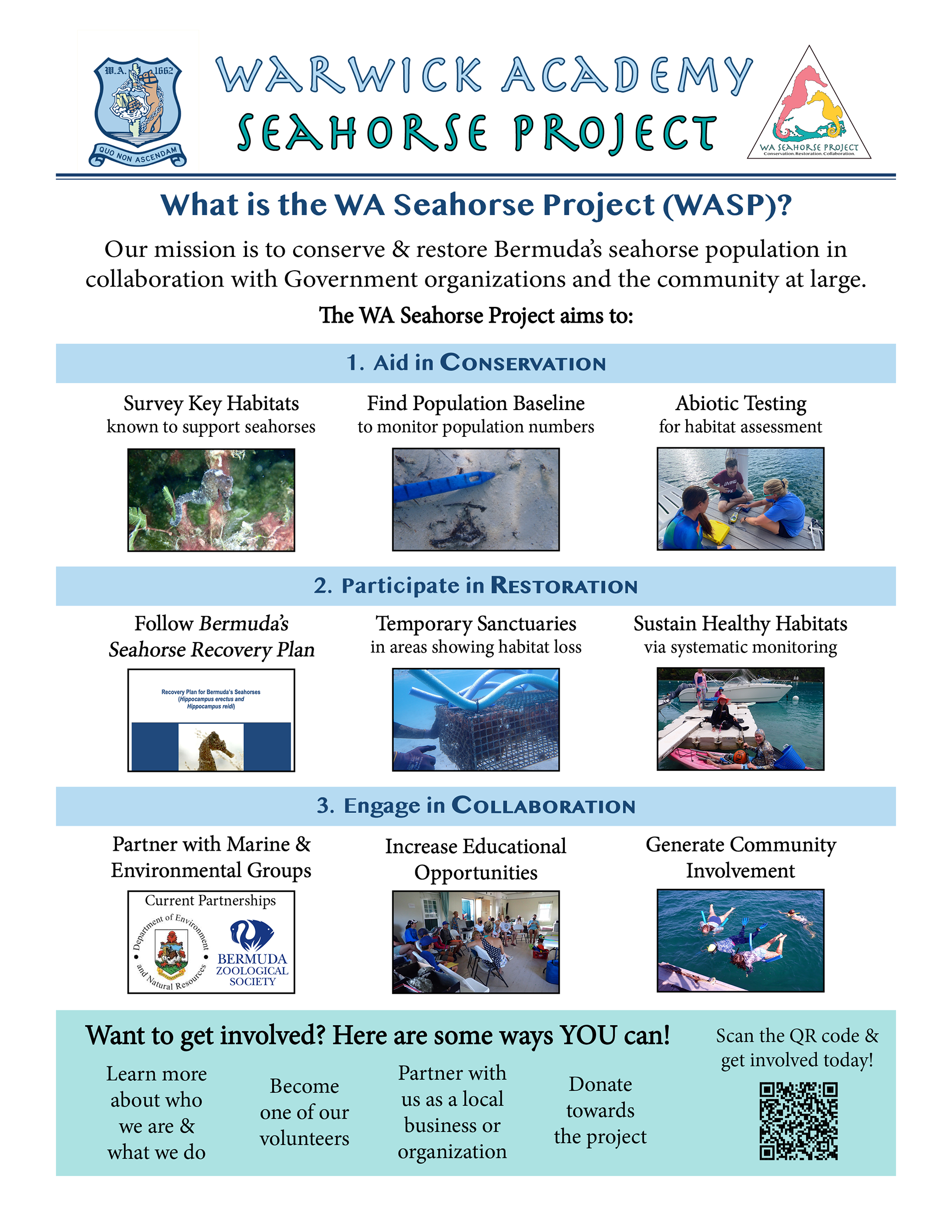 WASP General Info Flyer