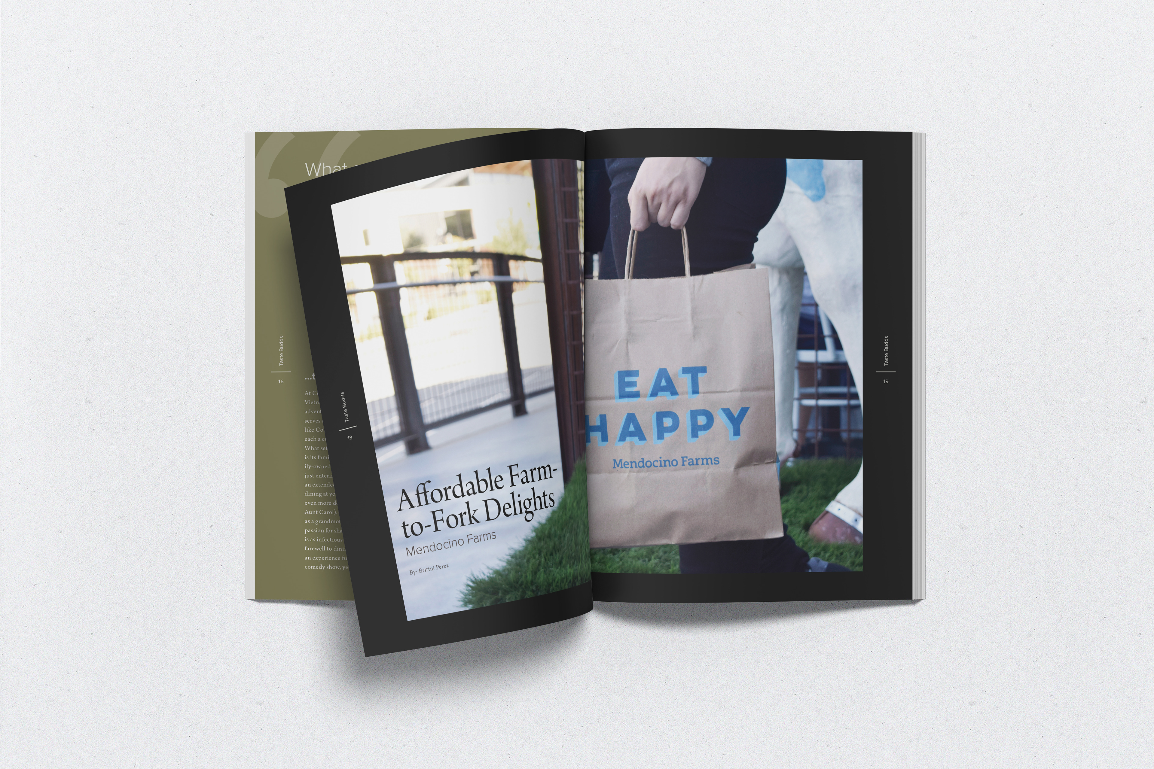 Magazine (Zine) – article spread (8 x 10 in.)