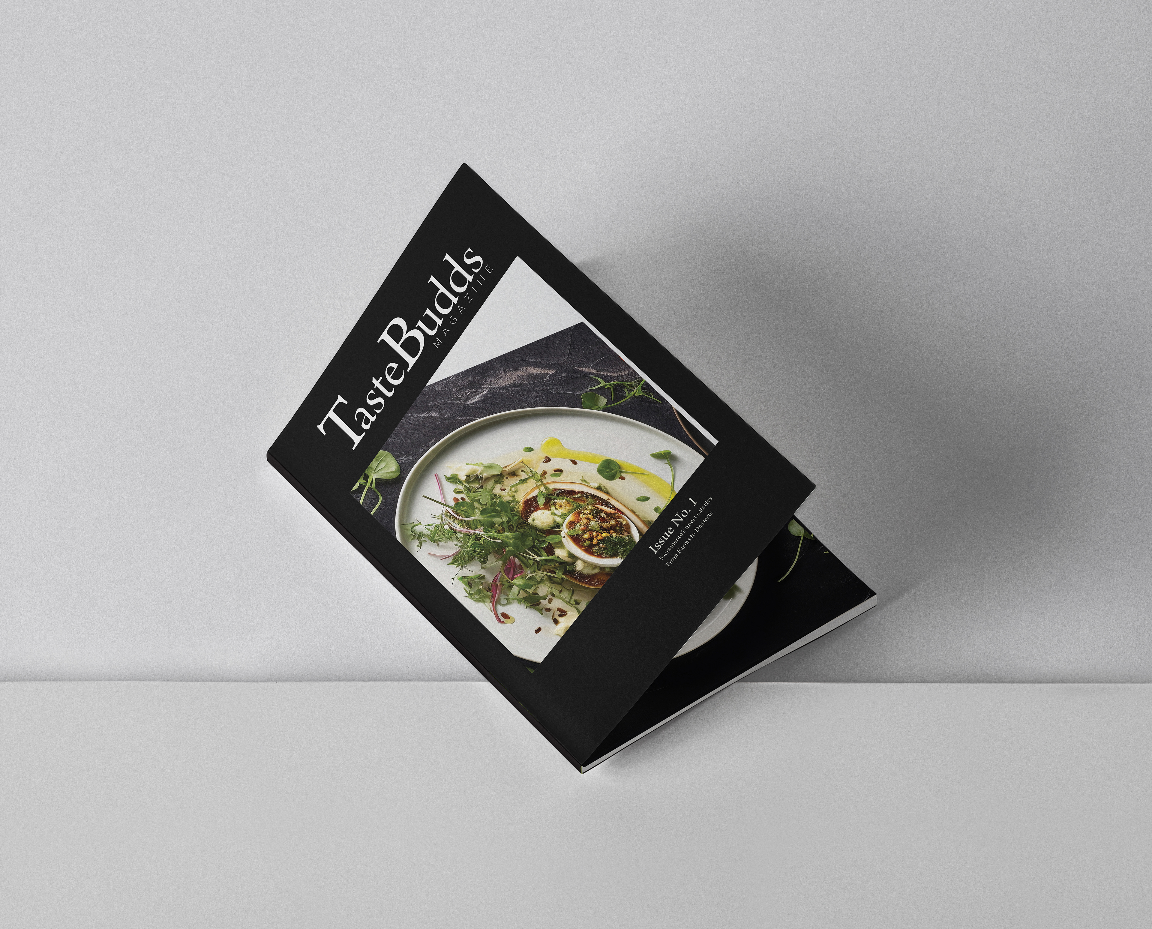 Magazine (Zine) – front and inside cover (8 x 10 in.)