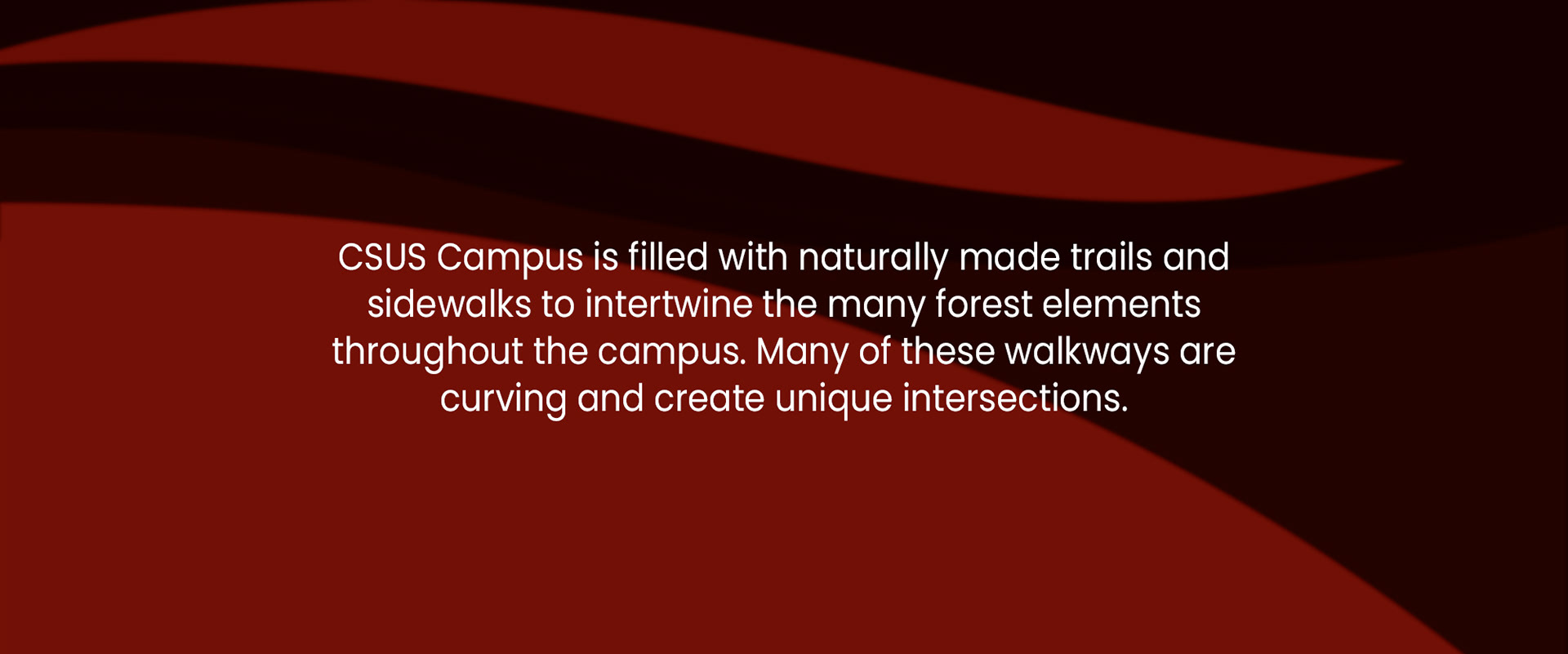 CUS Campus is filled with naturally made trails and sidewalks to intertwine the many forest elements throughout the campus. Many of these walkways are curving and create unique intersections.