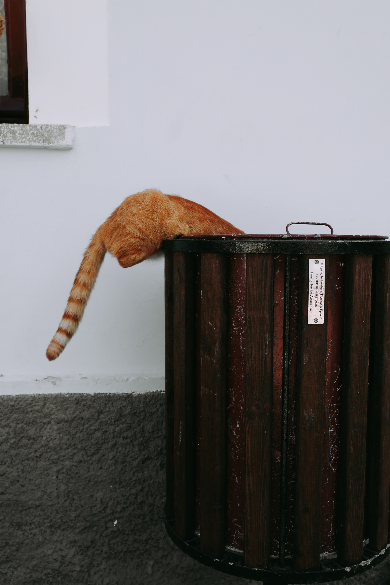 Catch of the Day - Greece