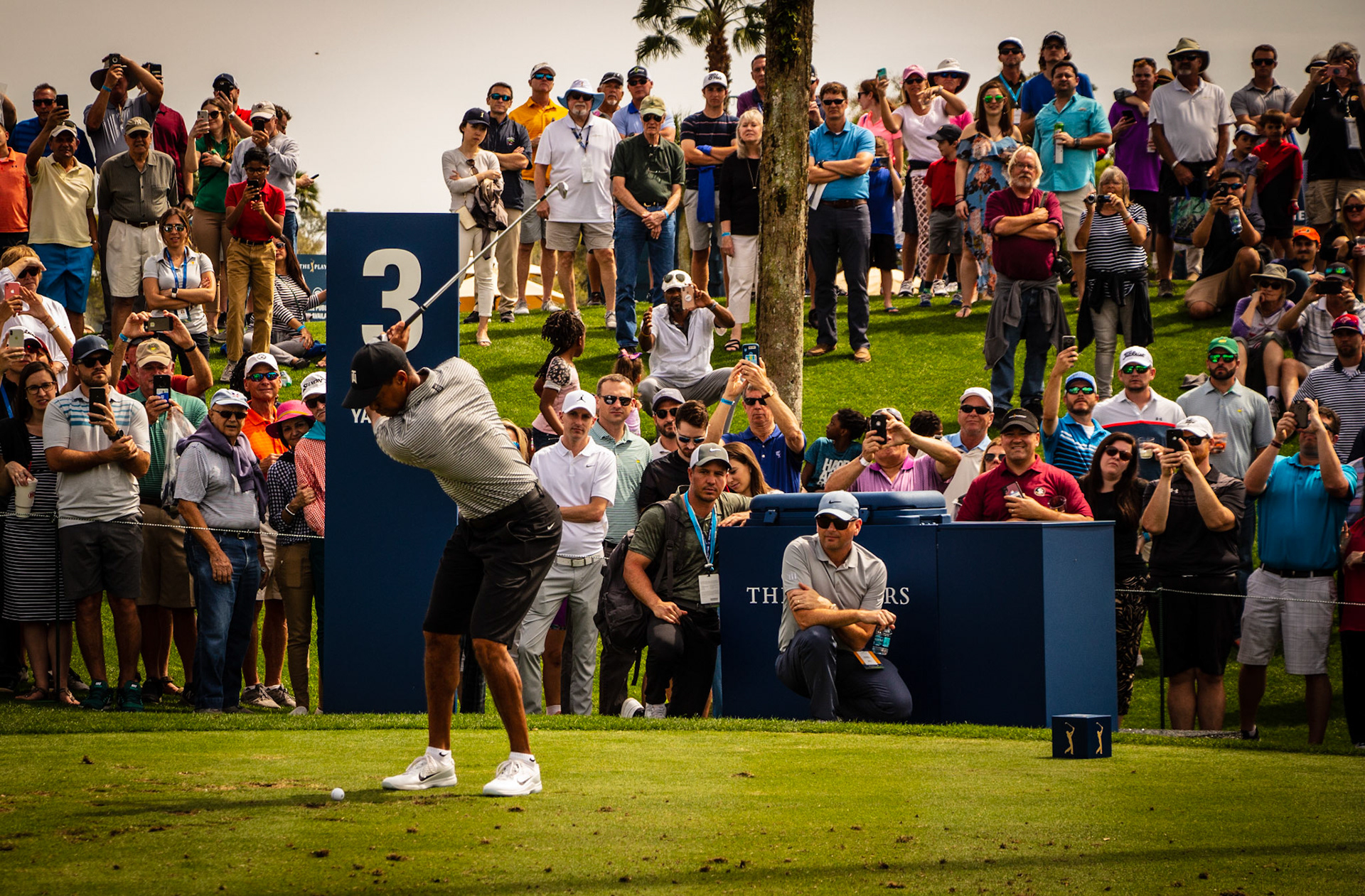Tiger Woods at Sawgrass