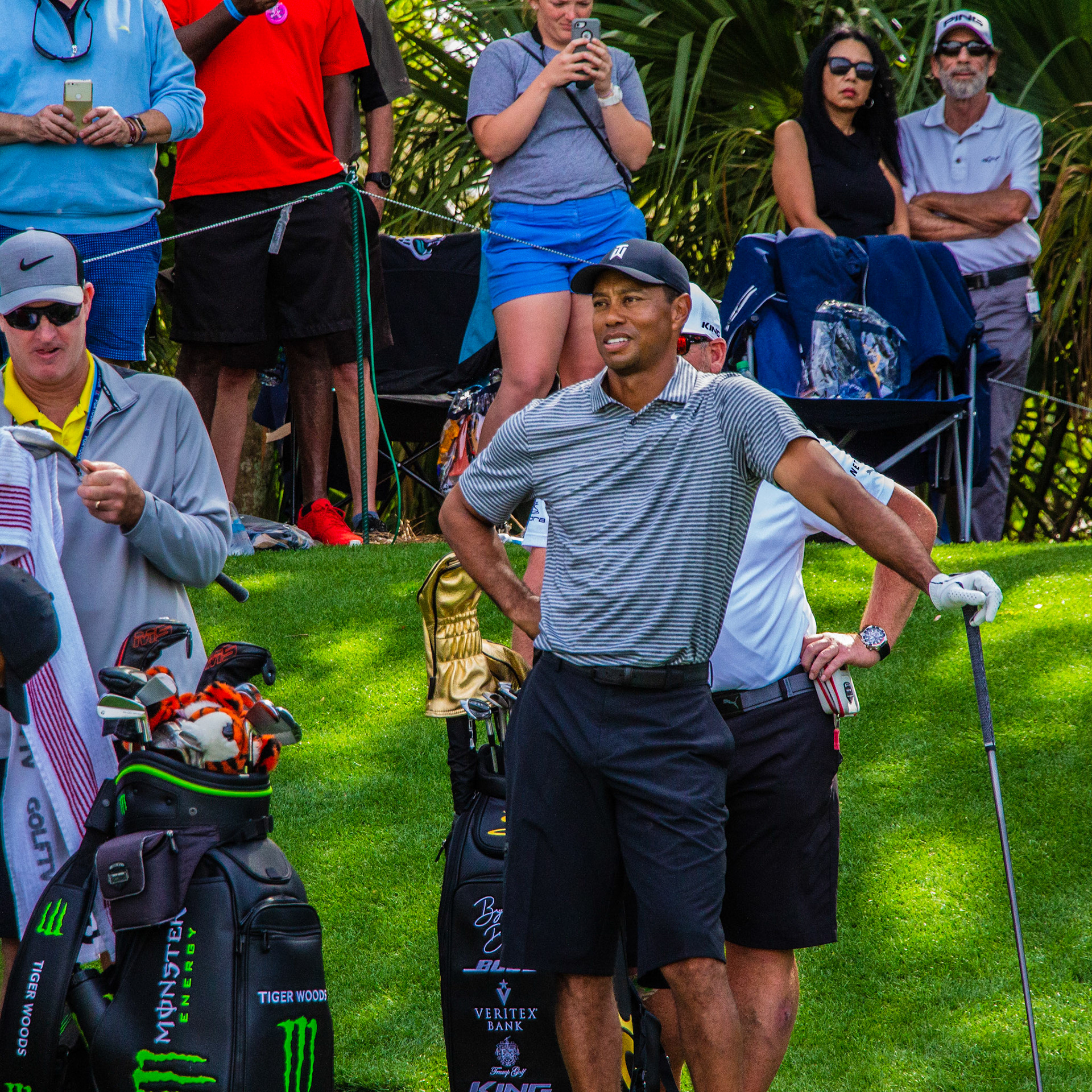 Tiger Woods at Sawgrass