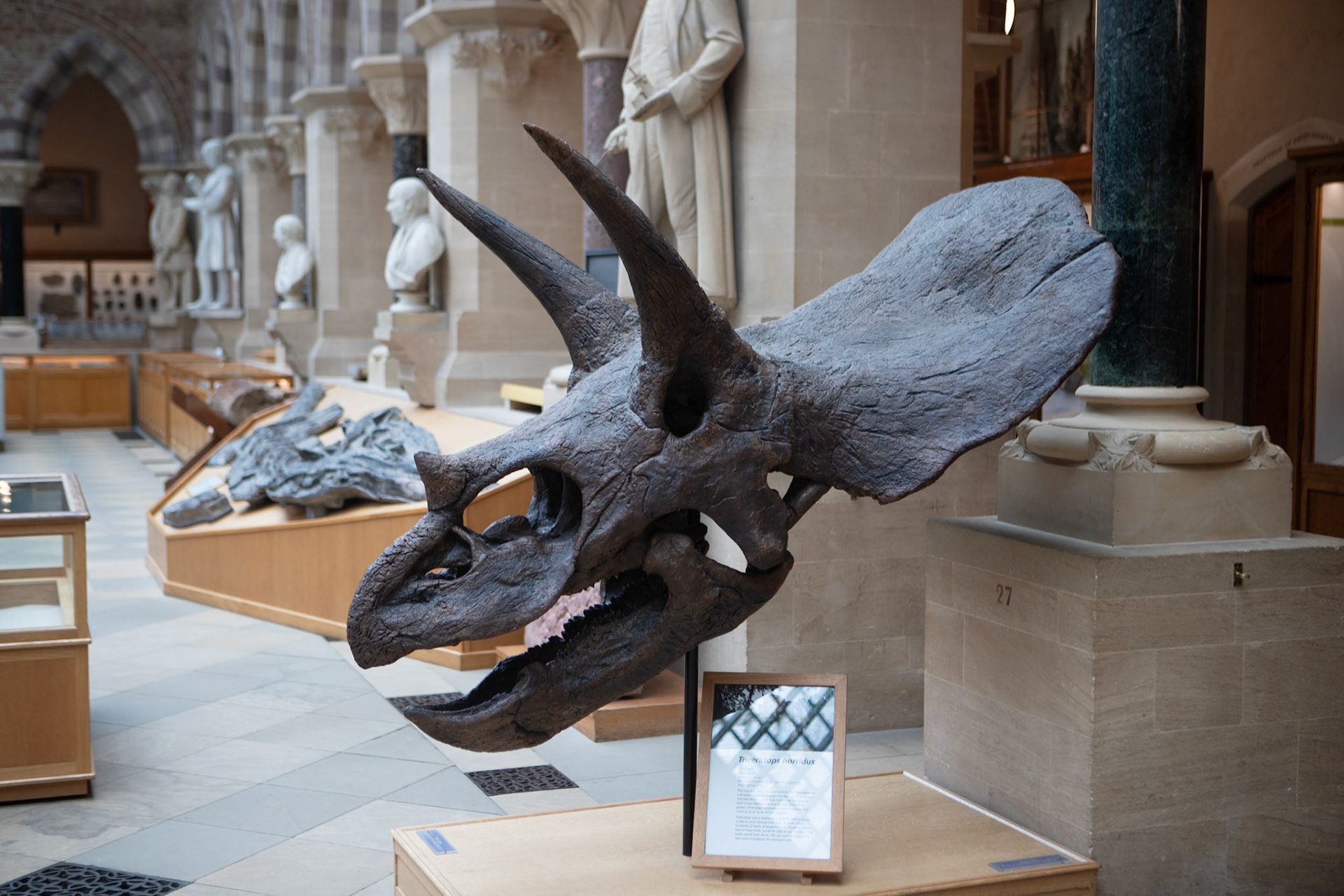 Natural History Museum, Oxford