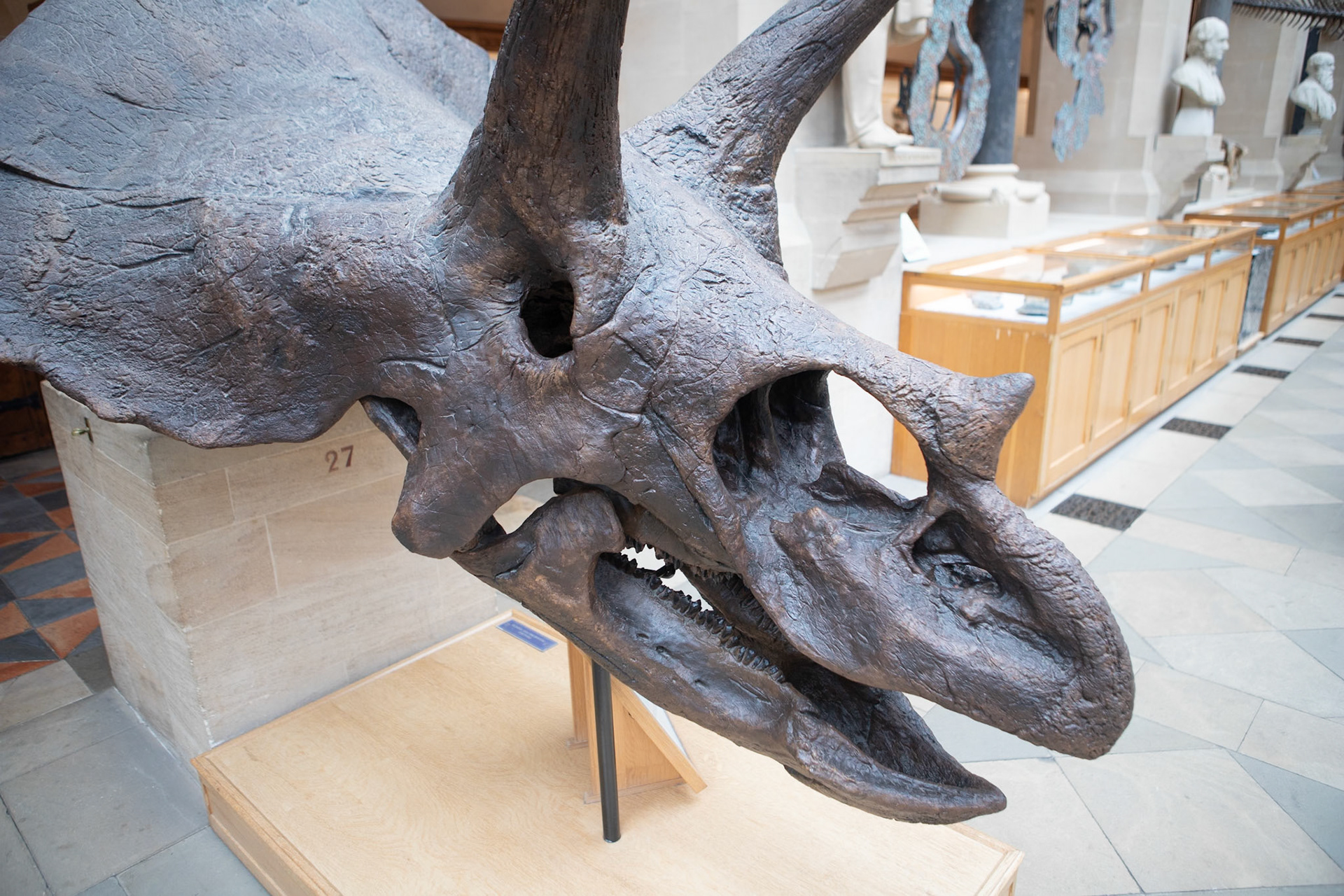 Natural History Museum, Oxford