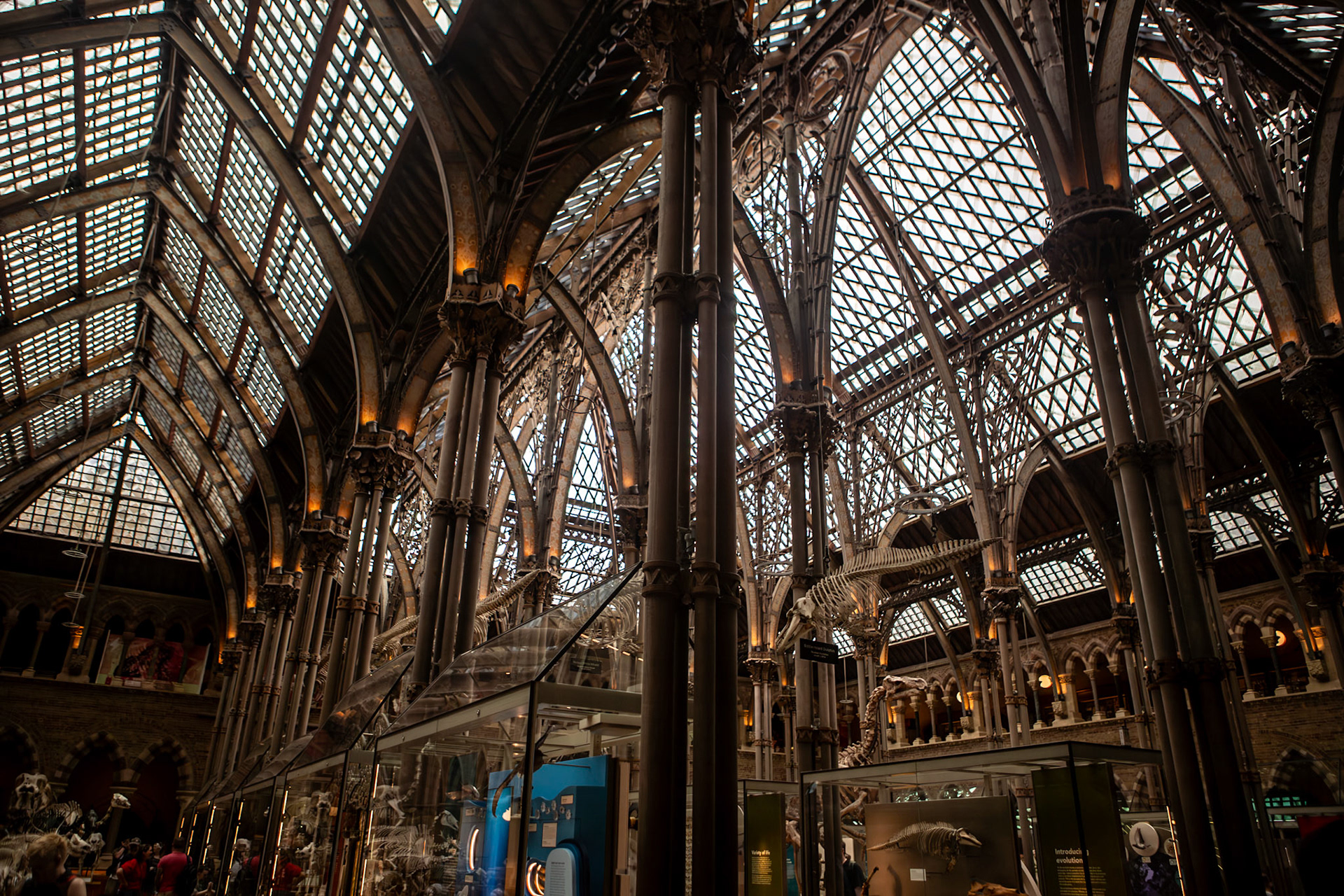 Natural History Museum, Oxford