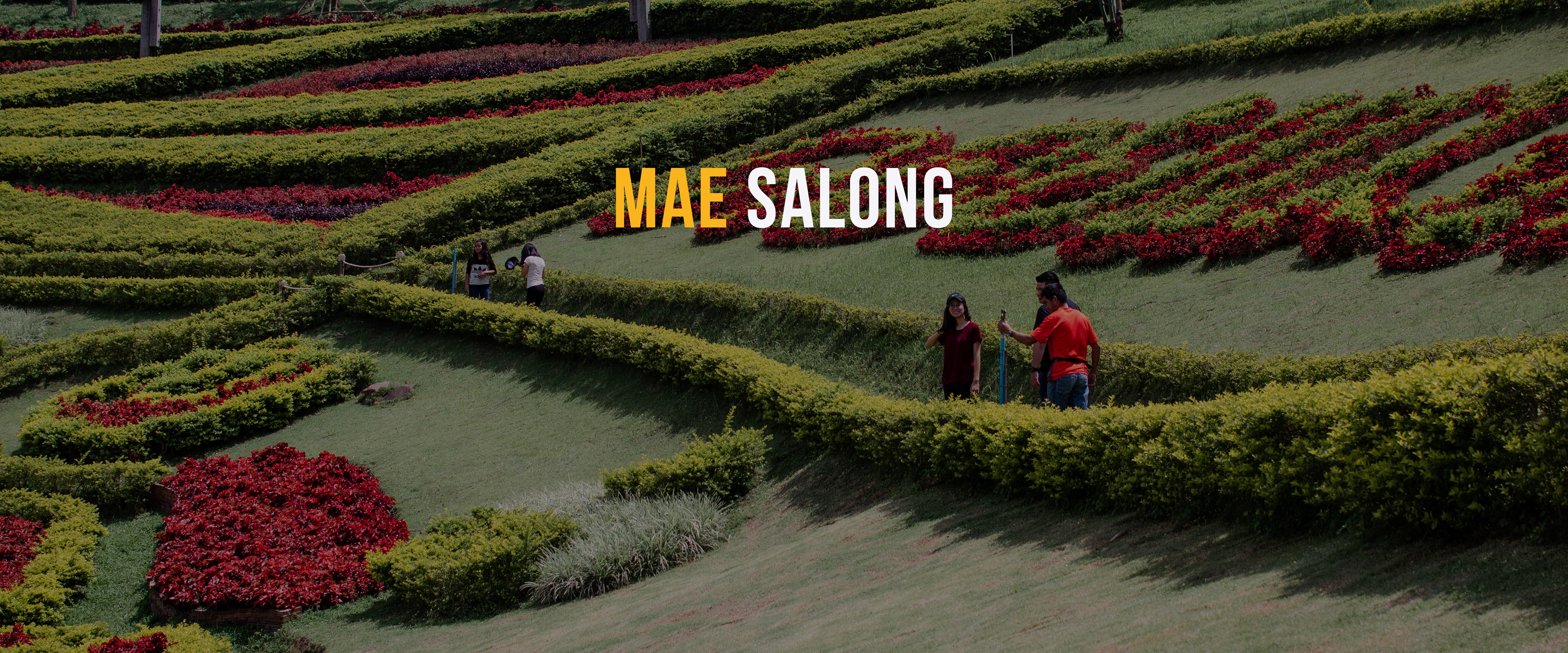 Mae Salong, Chiang Rai, Thailand