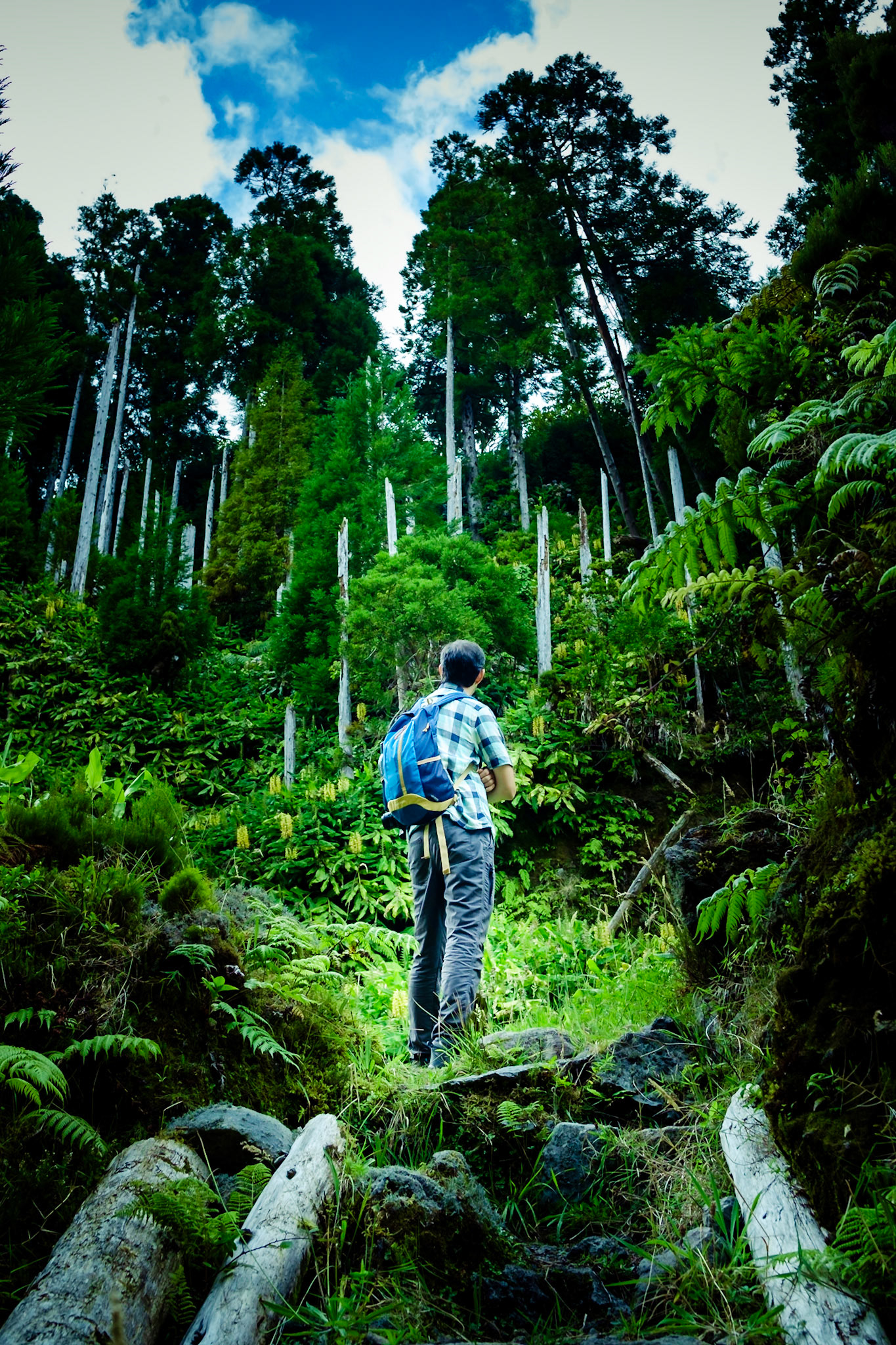 Photo By: Sário Nunes (www.500px.com/sarionunes)