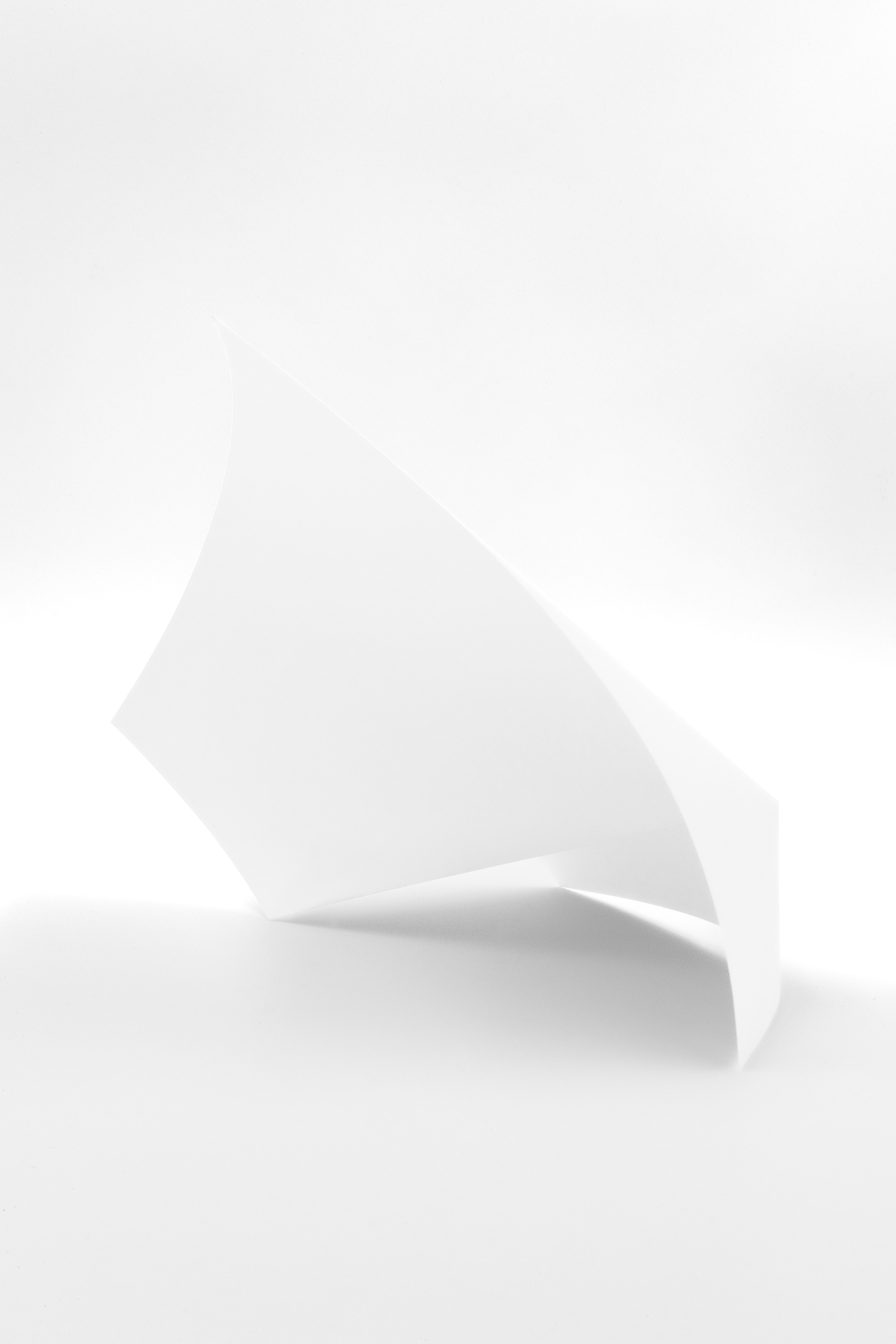 Single Crease with curves no. 1