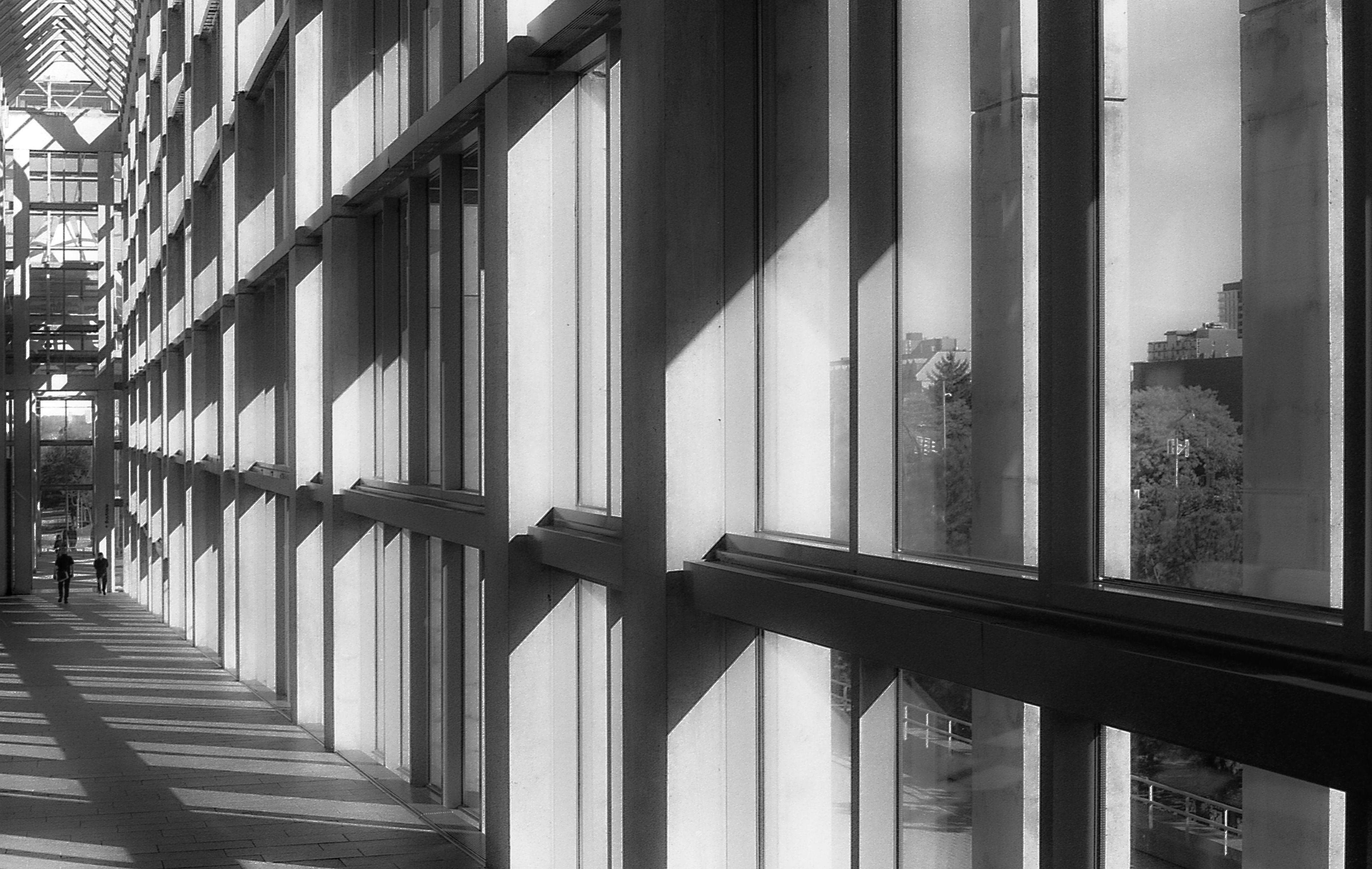 Positive & Negative, National Art Gallery, Ottawa, Ontario - 135 film From here we follow back in time through the light as it dissolves our skin & bone & takes us away.