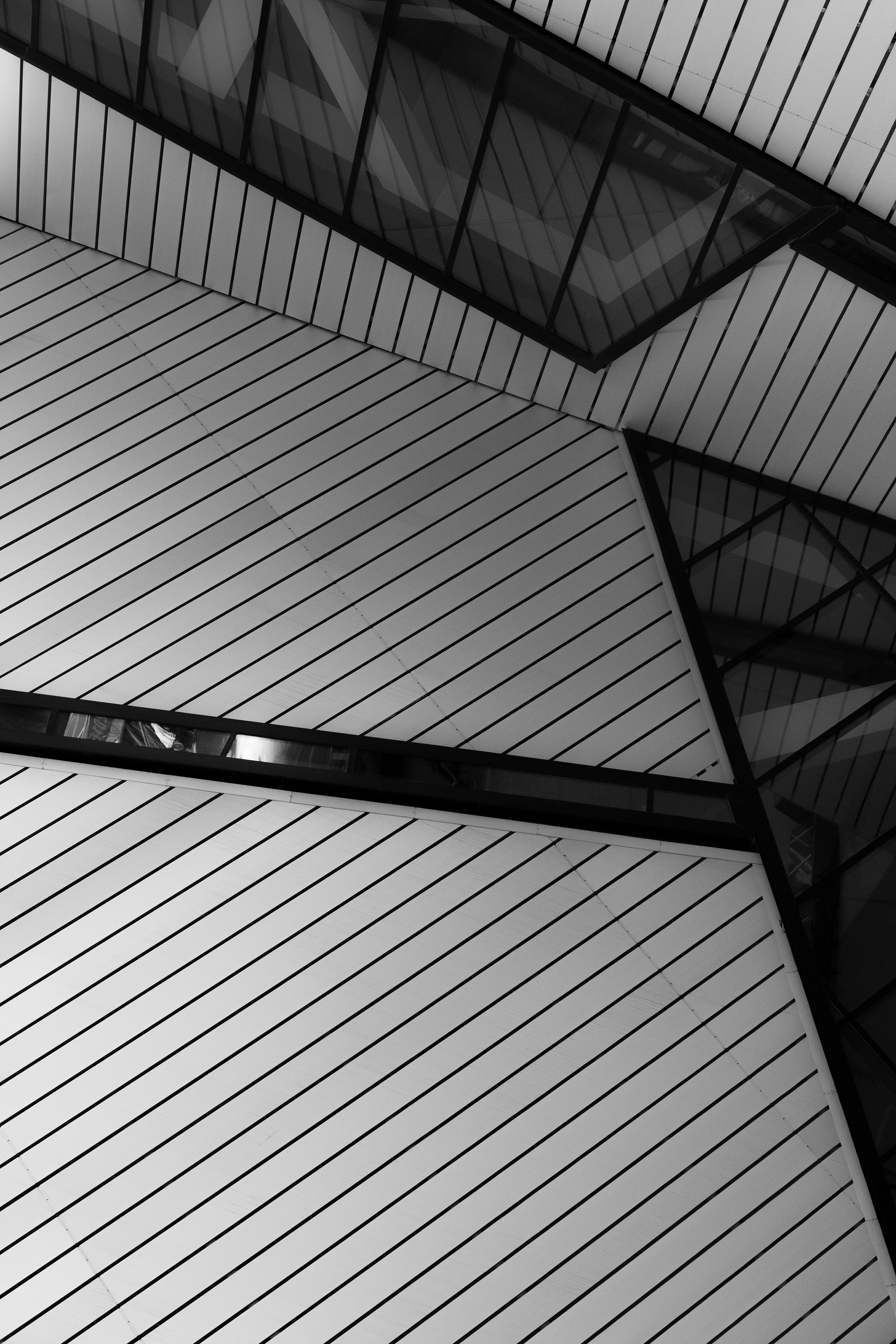 ROM Lines no. 5 Toronto Ontario