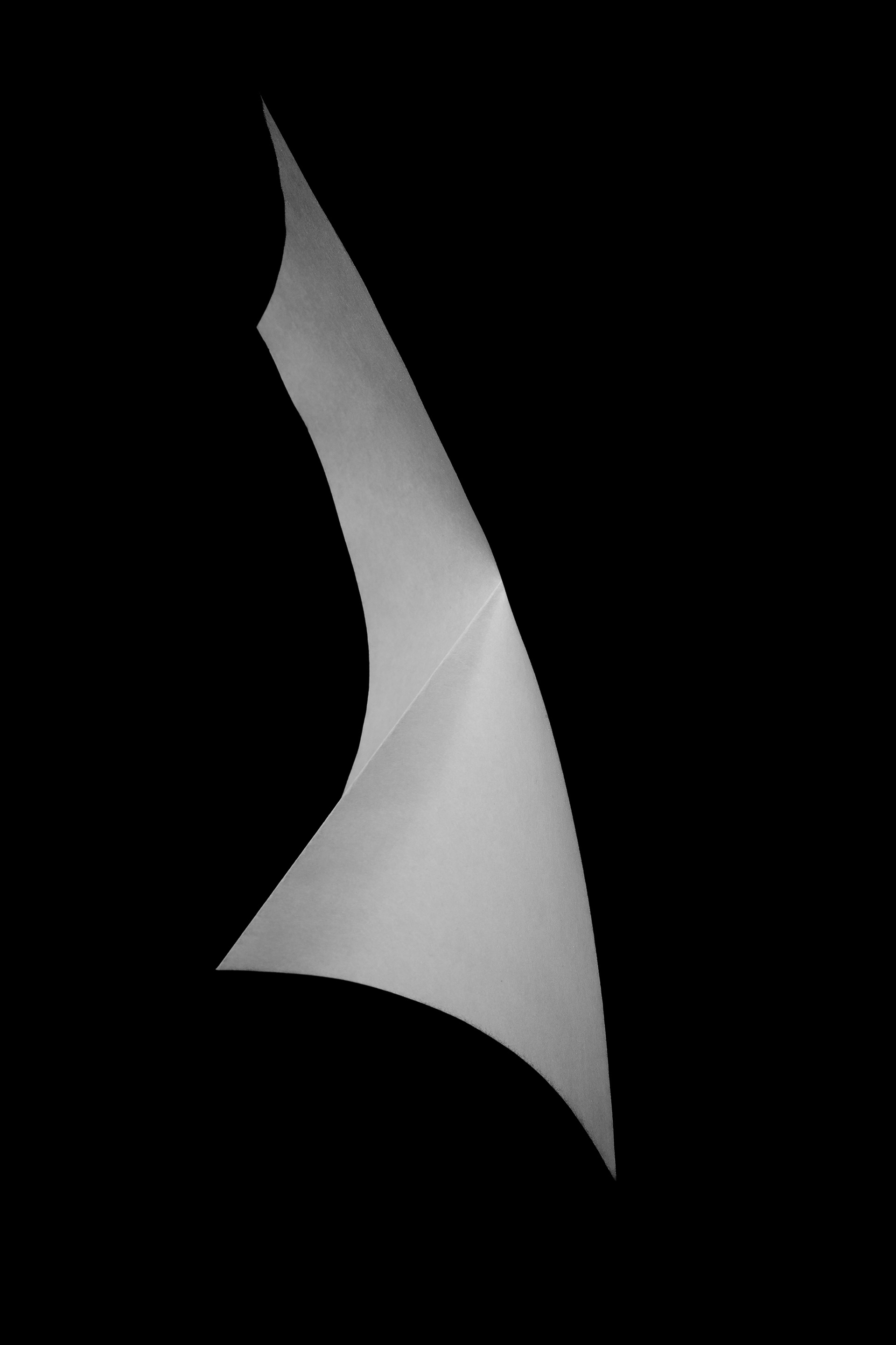 Single Crease with curves no. 8