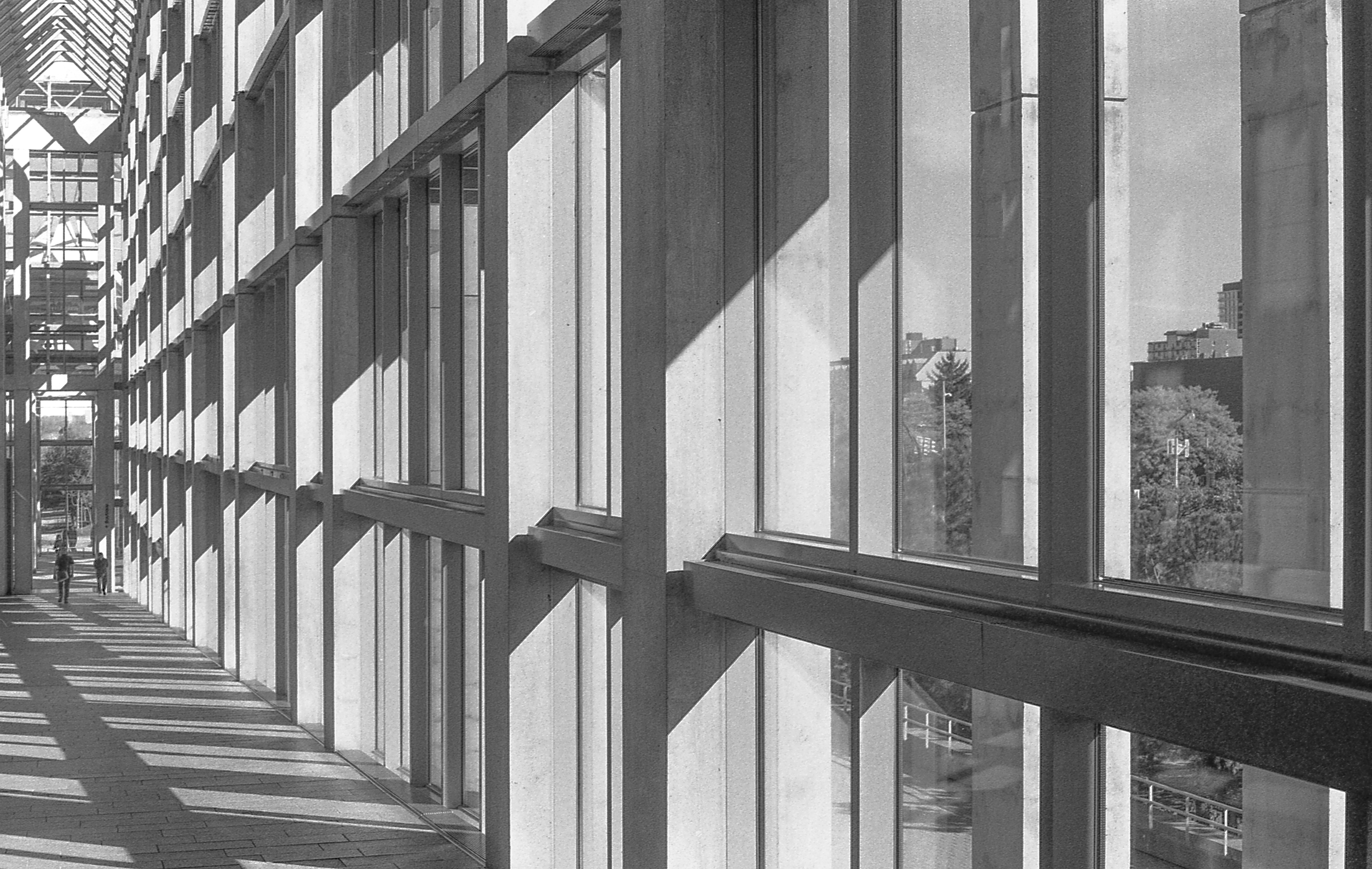 Positive & Negative, National Art Gallery, Ottawa, Ontario - 135 film From here we follow back in time through the light as it dissolves our skin & bone & takes us away.