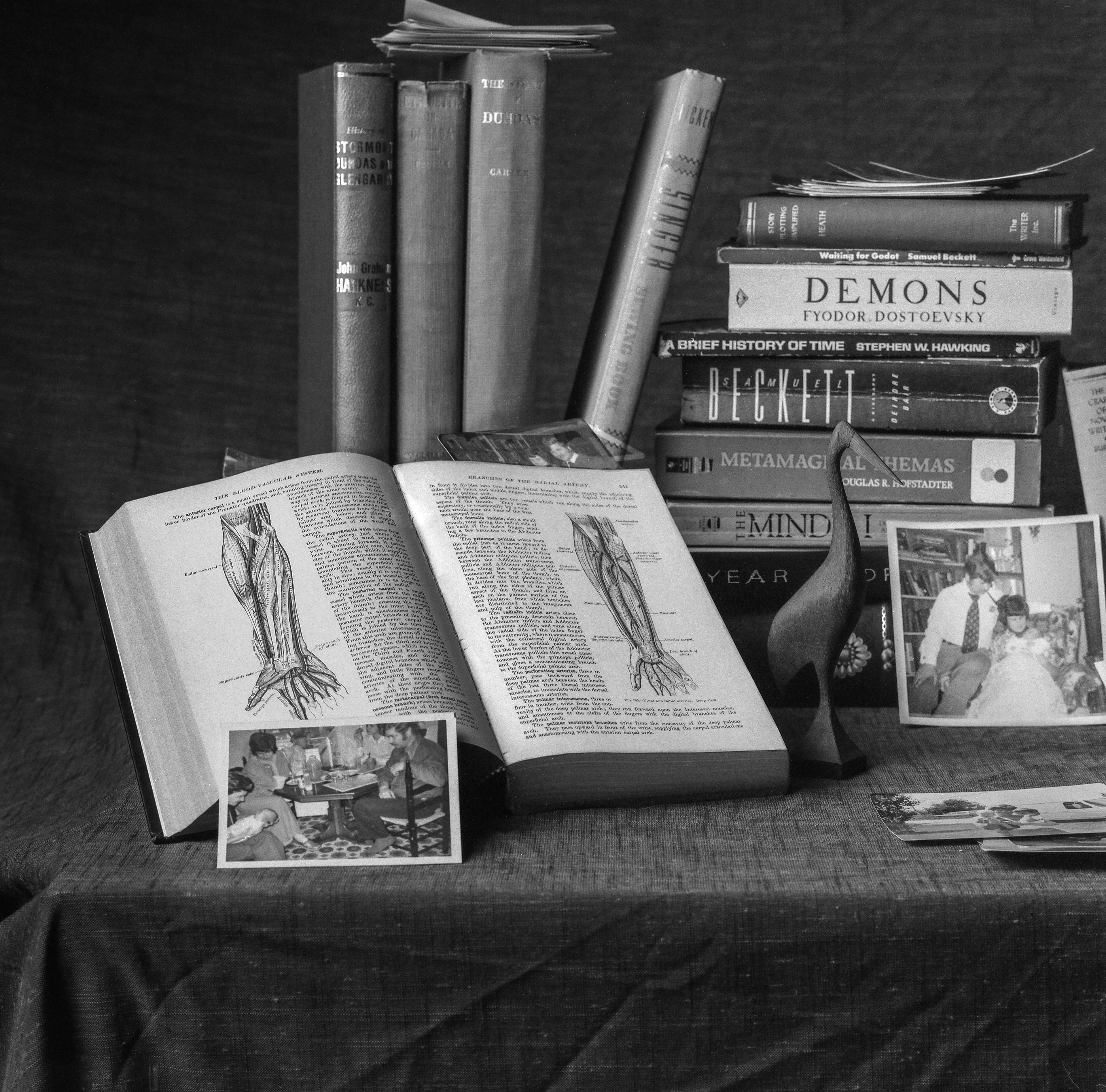 This dream is about family, about family love, pain & strife & celebration. The dream is about the emotions we collect like books.
