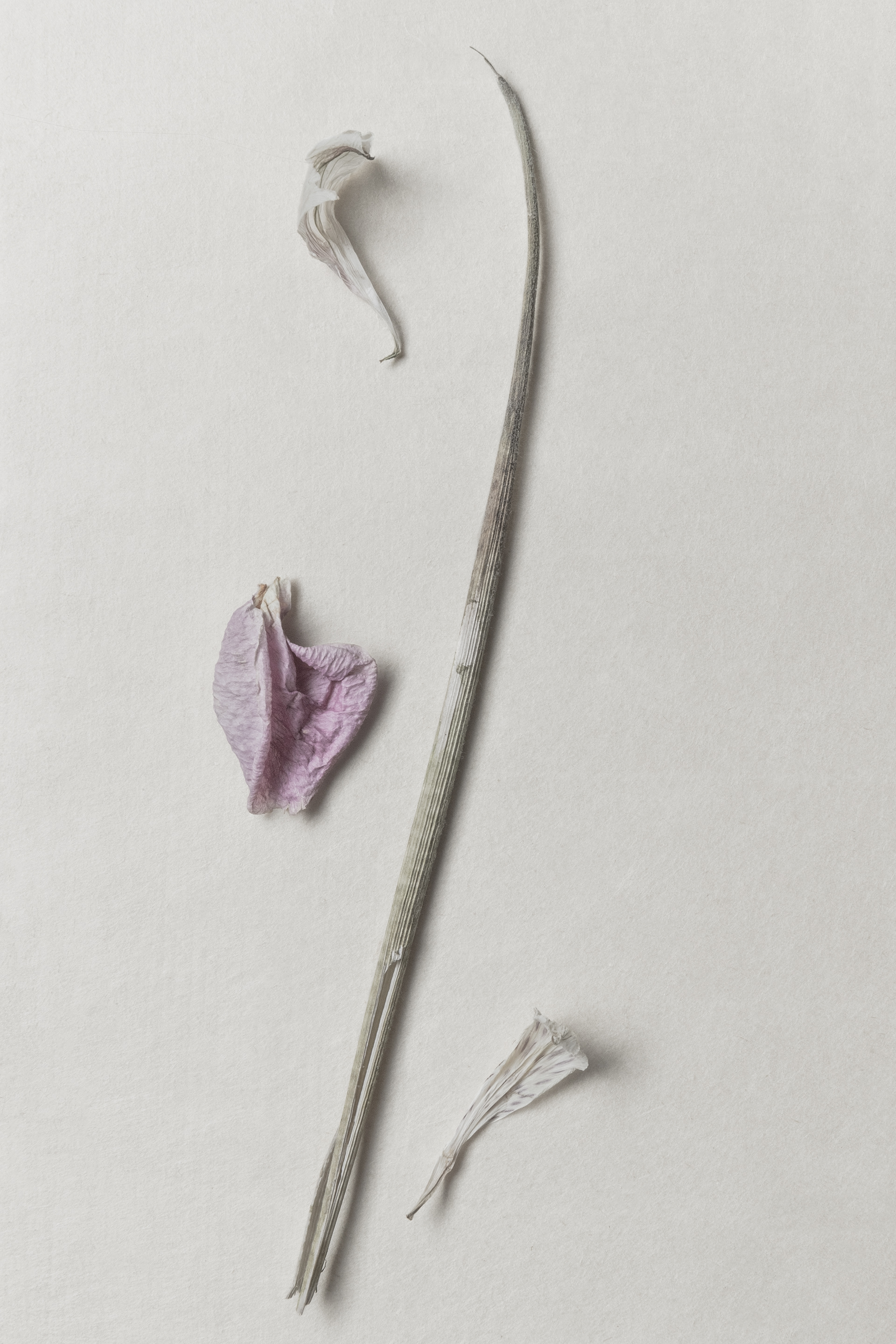 Death comes but once no. 1