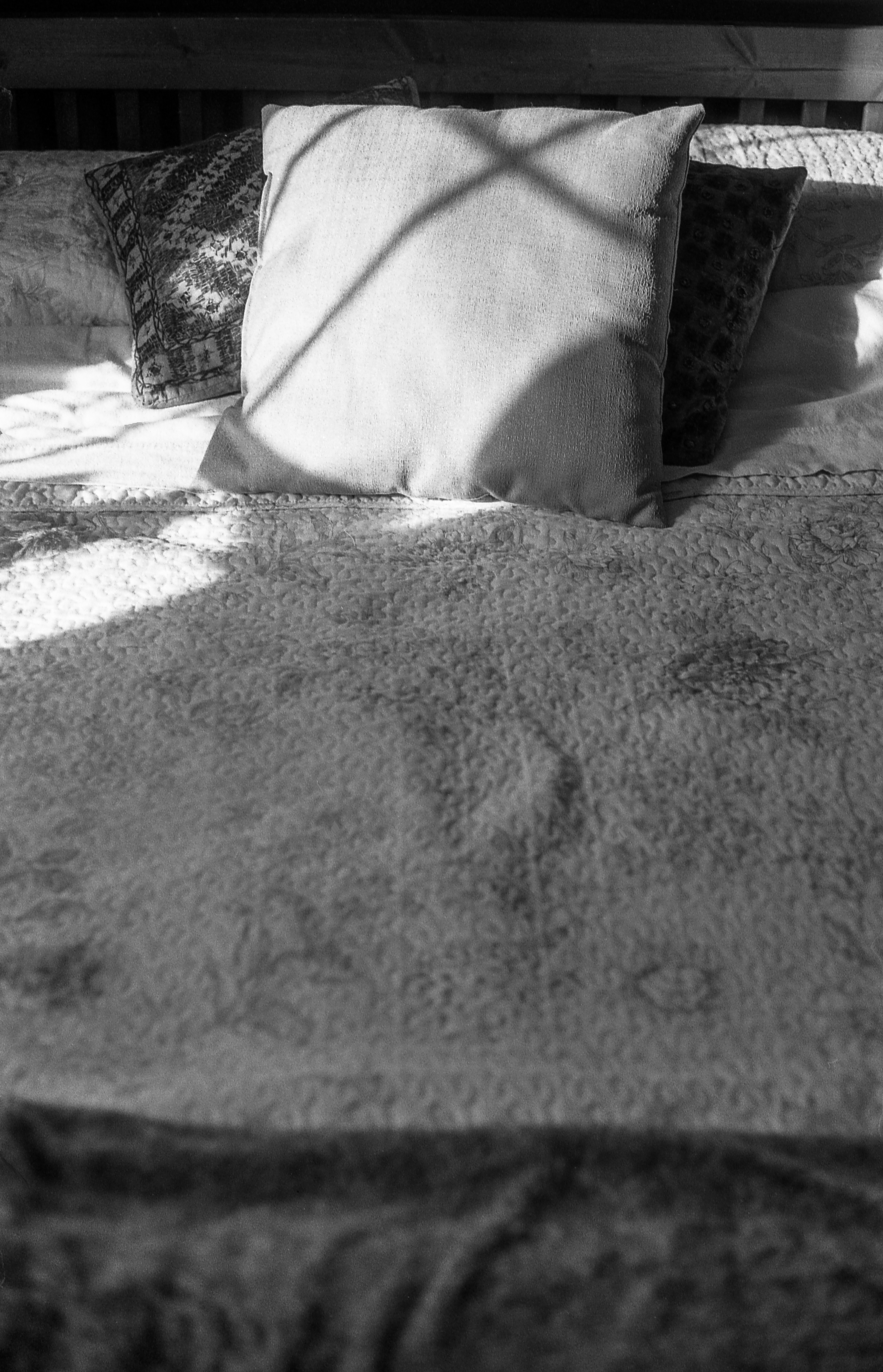 Guest Bed in Shadow & Light - 135 film