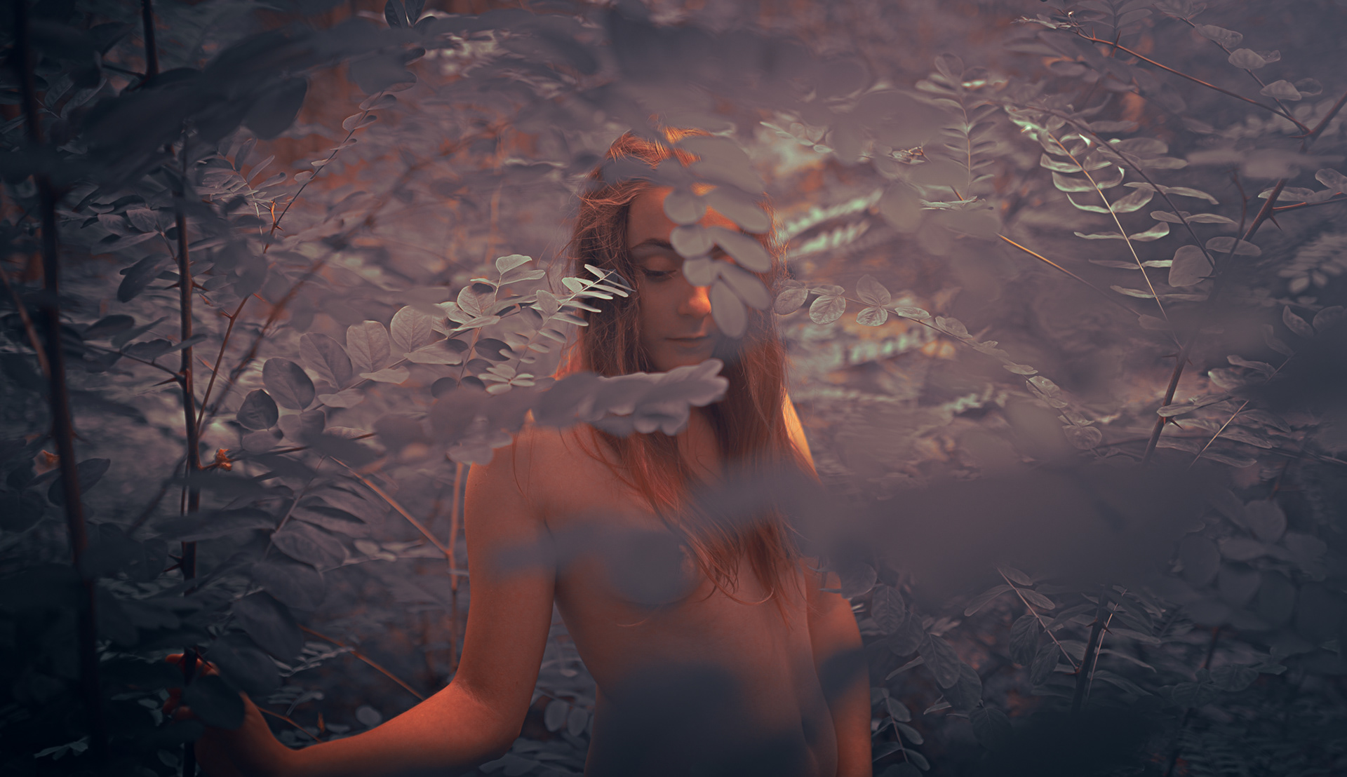 "La nature serait-elle pudique?"