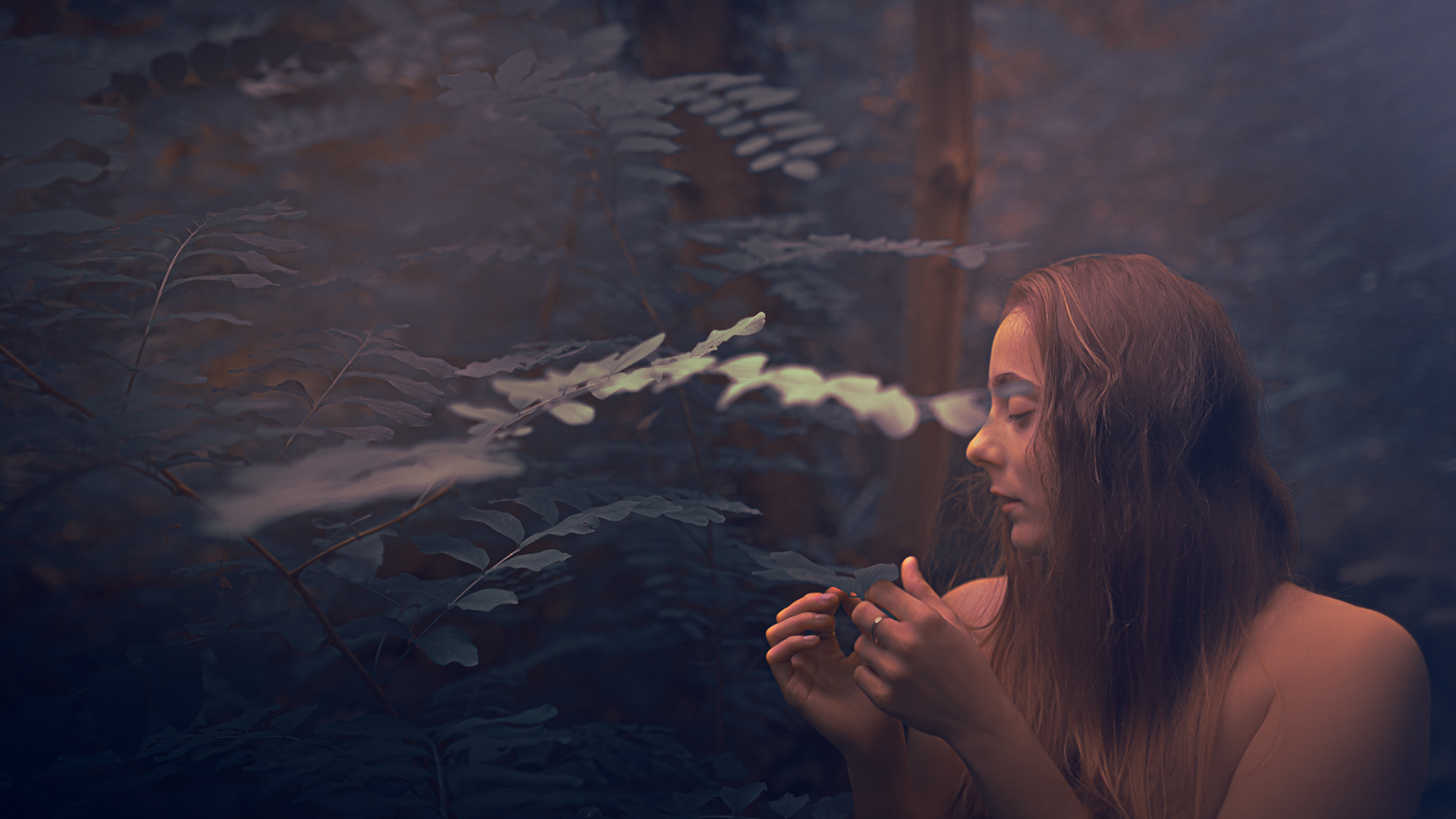 Où est le fruit interdit?