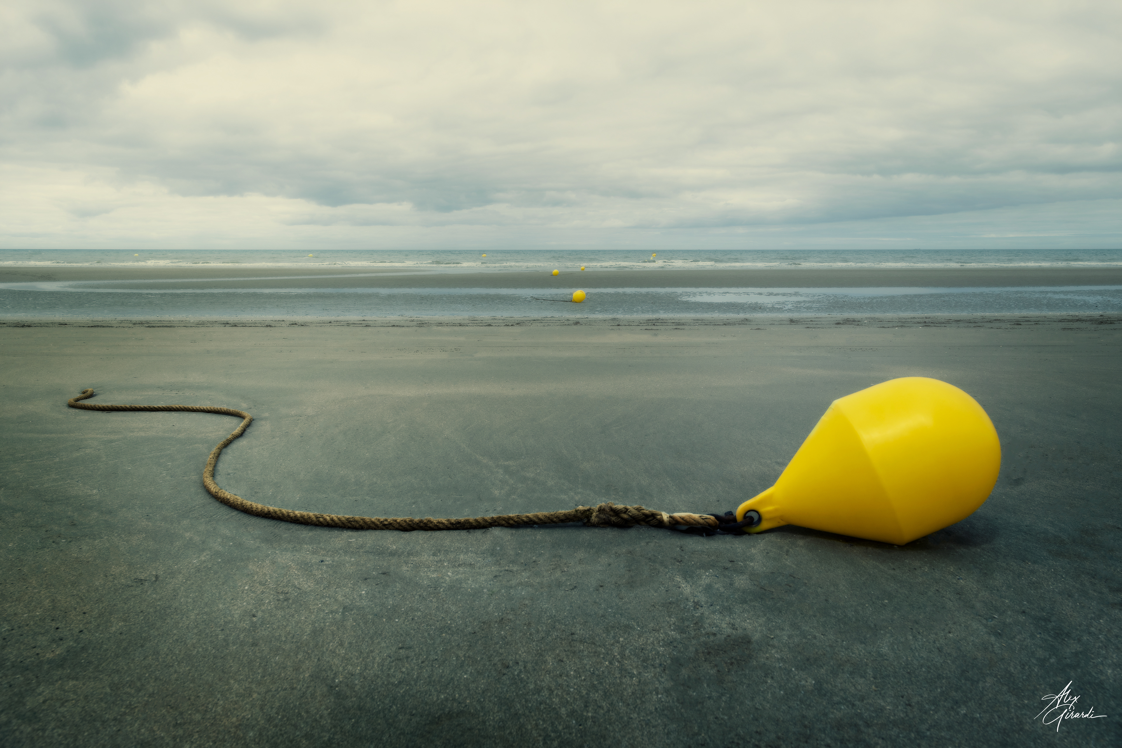 Yellow spots at Octeville sur Mer, France