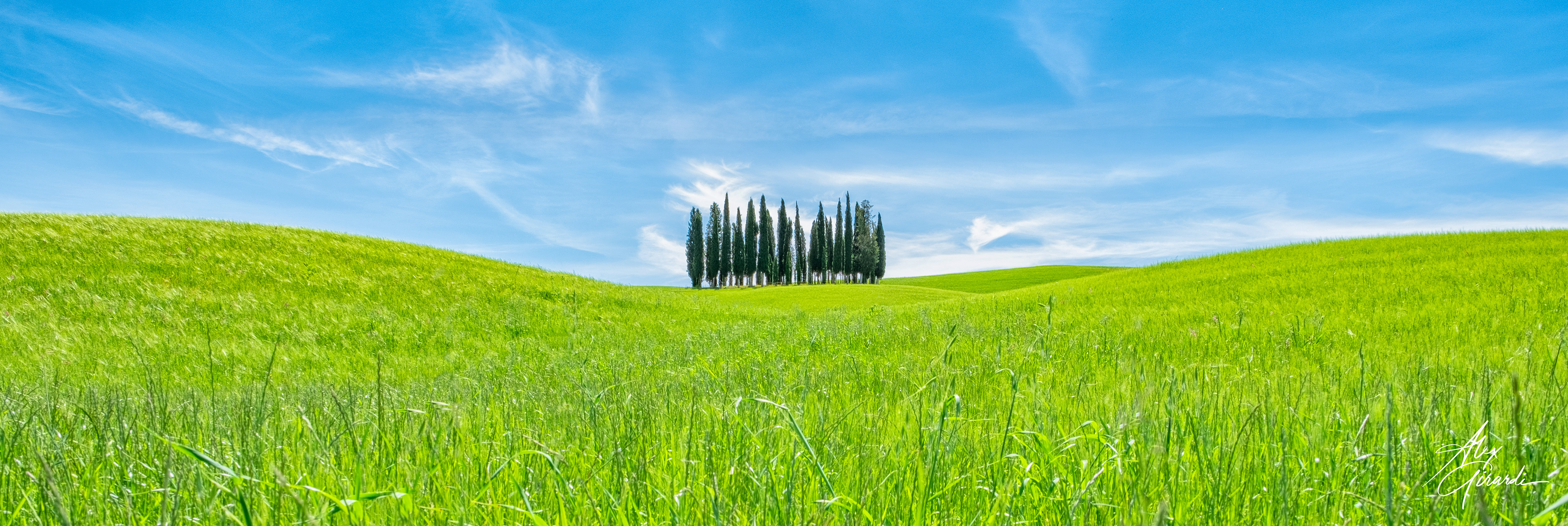 I cipressi di San Quirico d'Orcia
