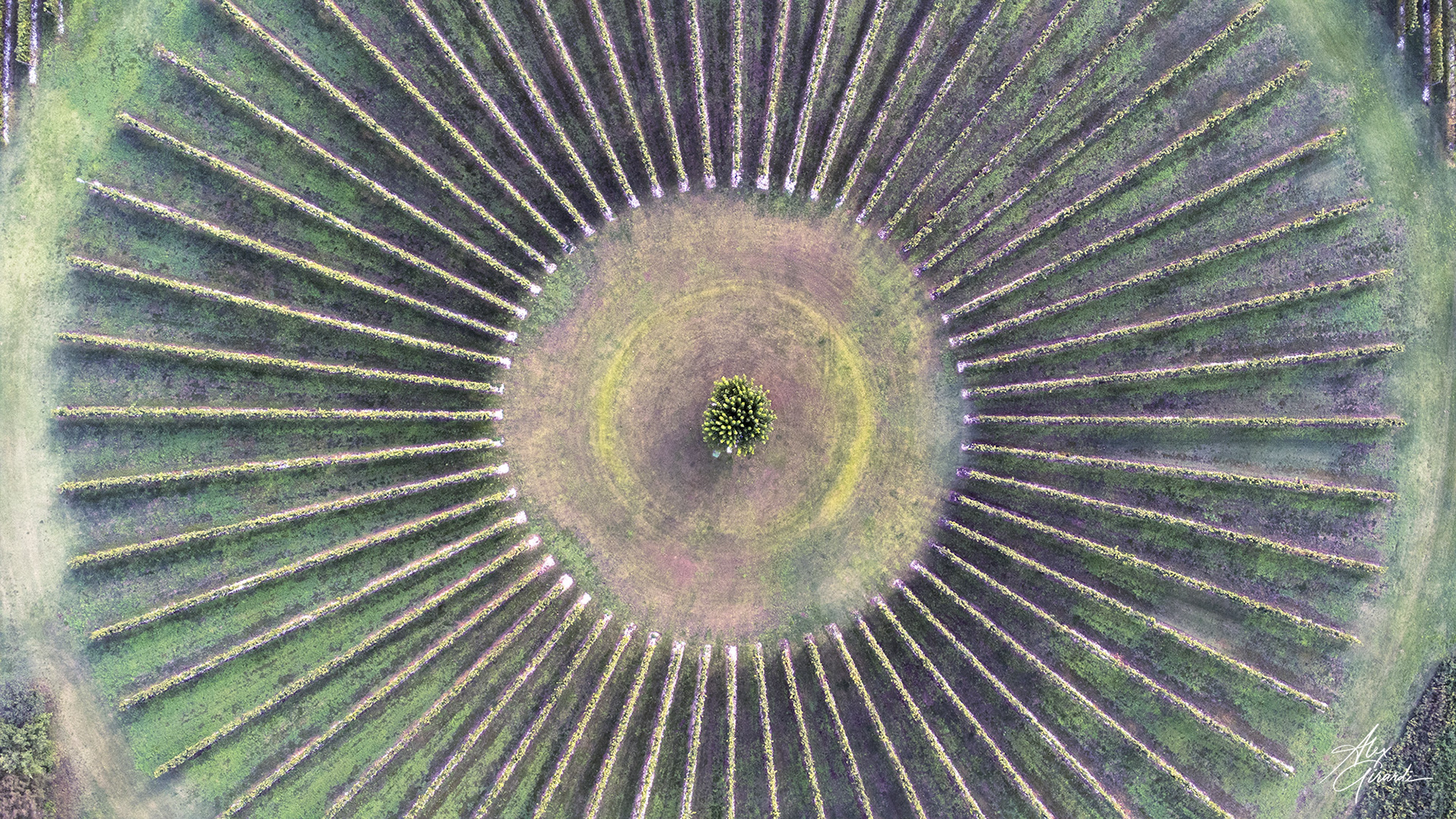 Cantina I Magredi, Italy