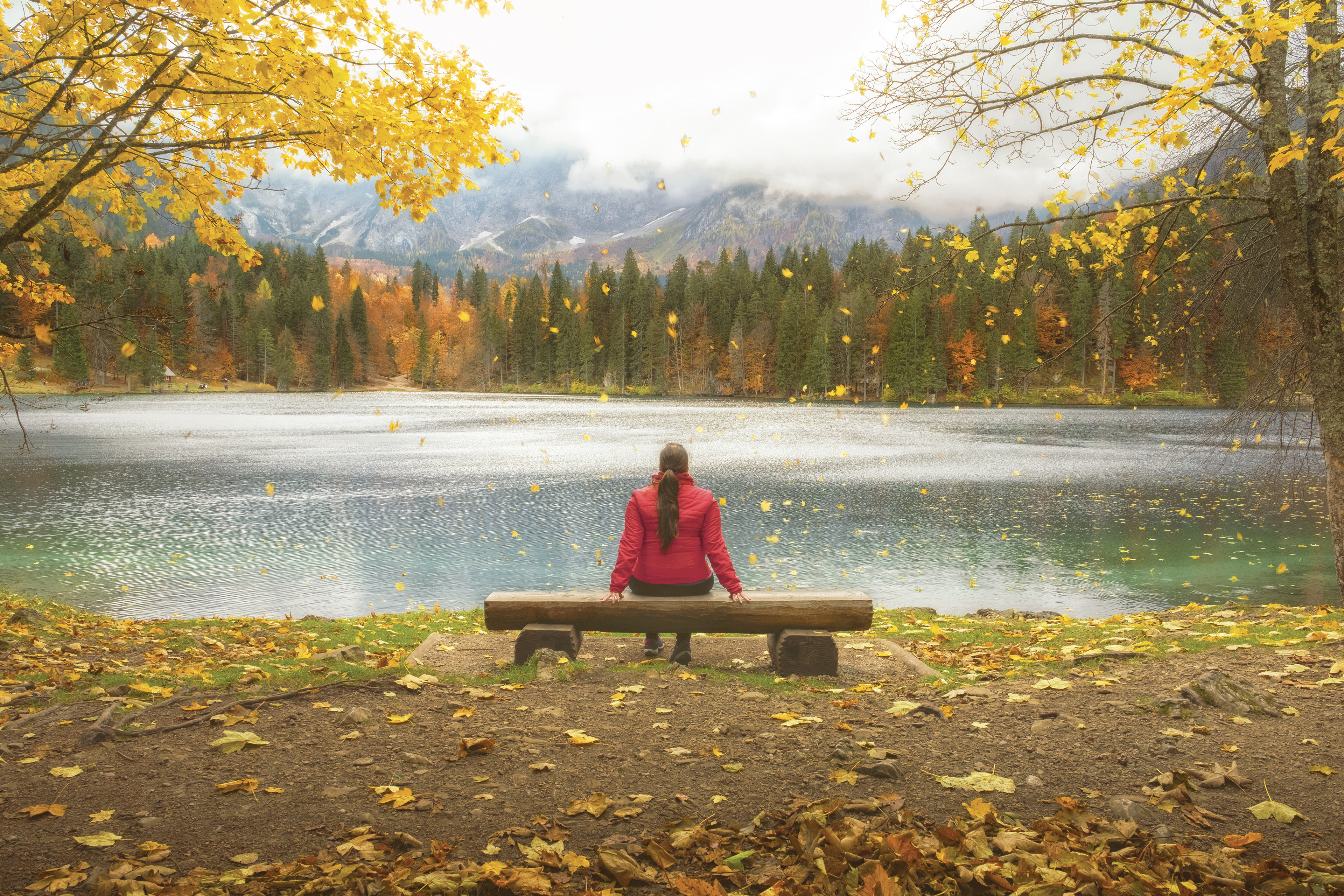 Leaves falling, Fusine IT