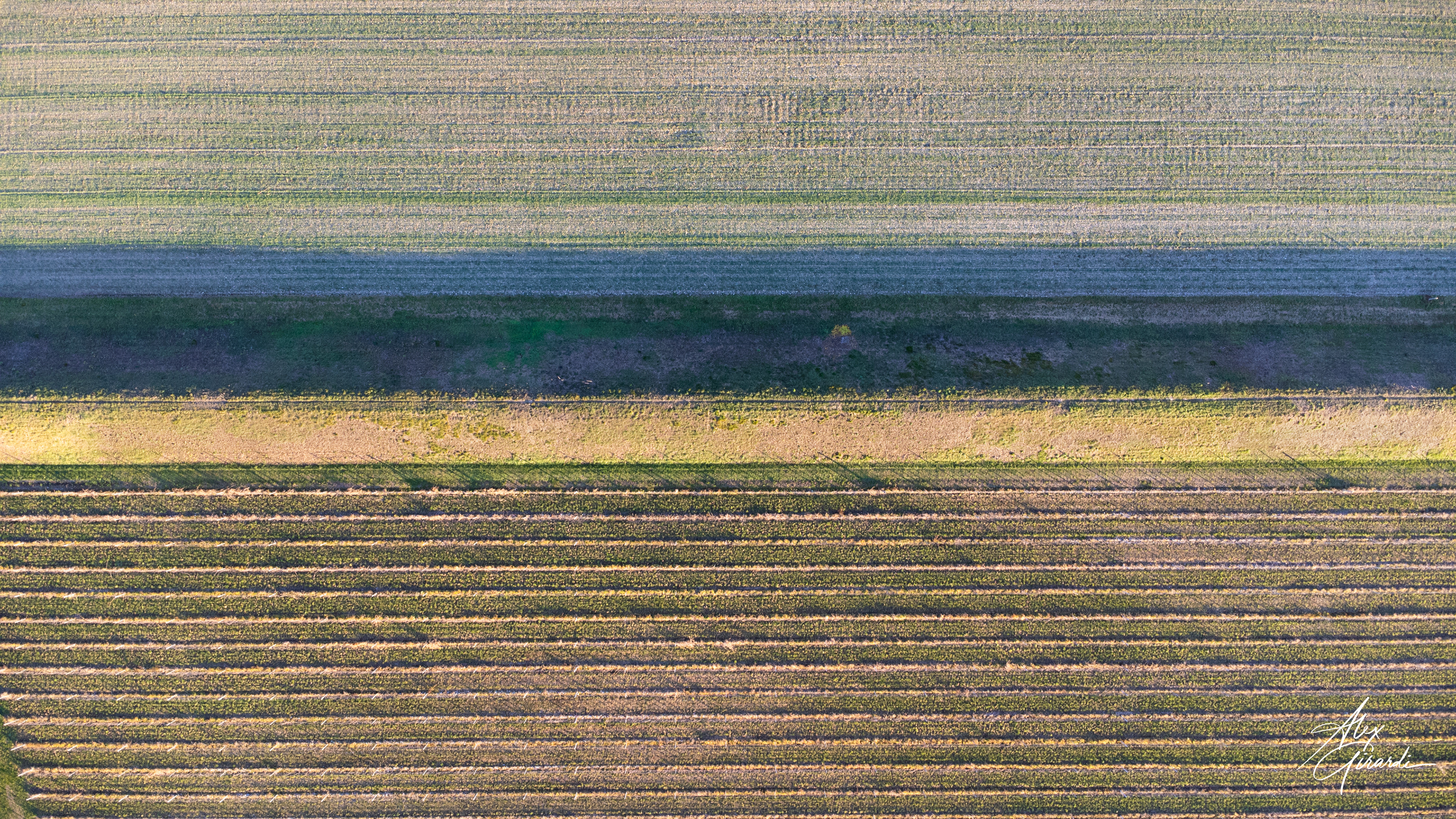 Fields around San Vito al Tagliamento, IT