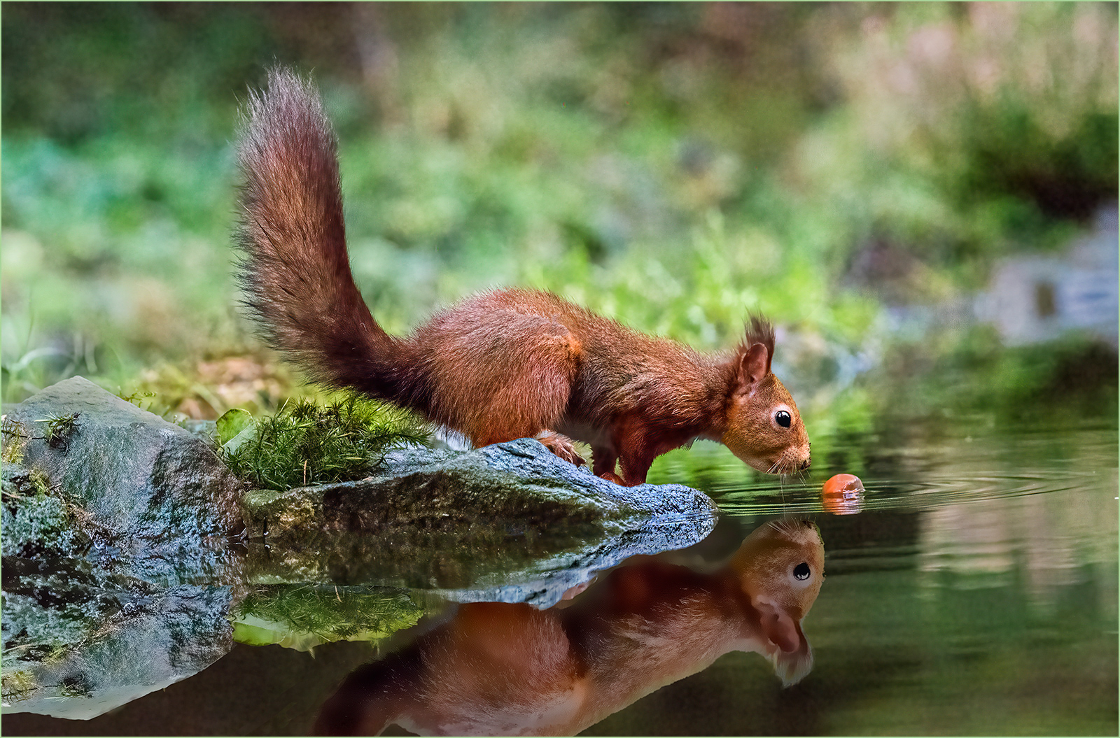 1ST