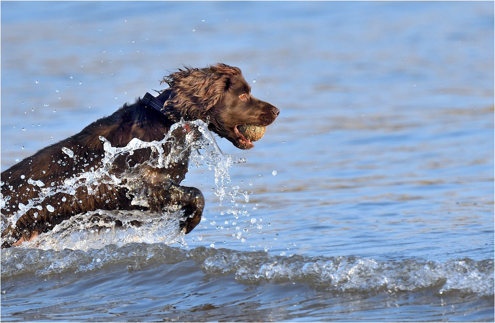 Having A Splashing Time....