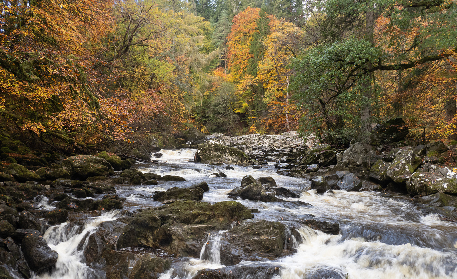 River Tummel 